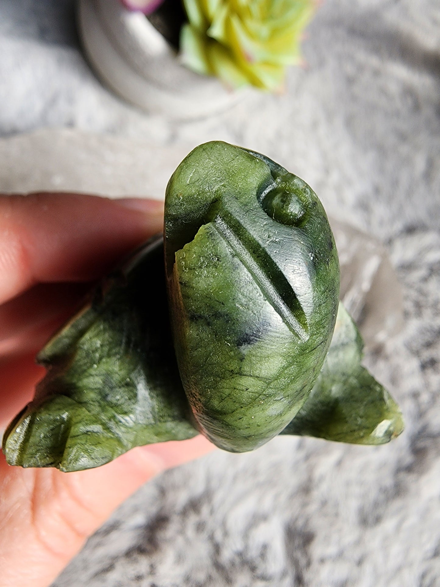 Serpentine Turtle