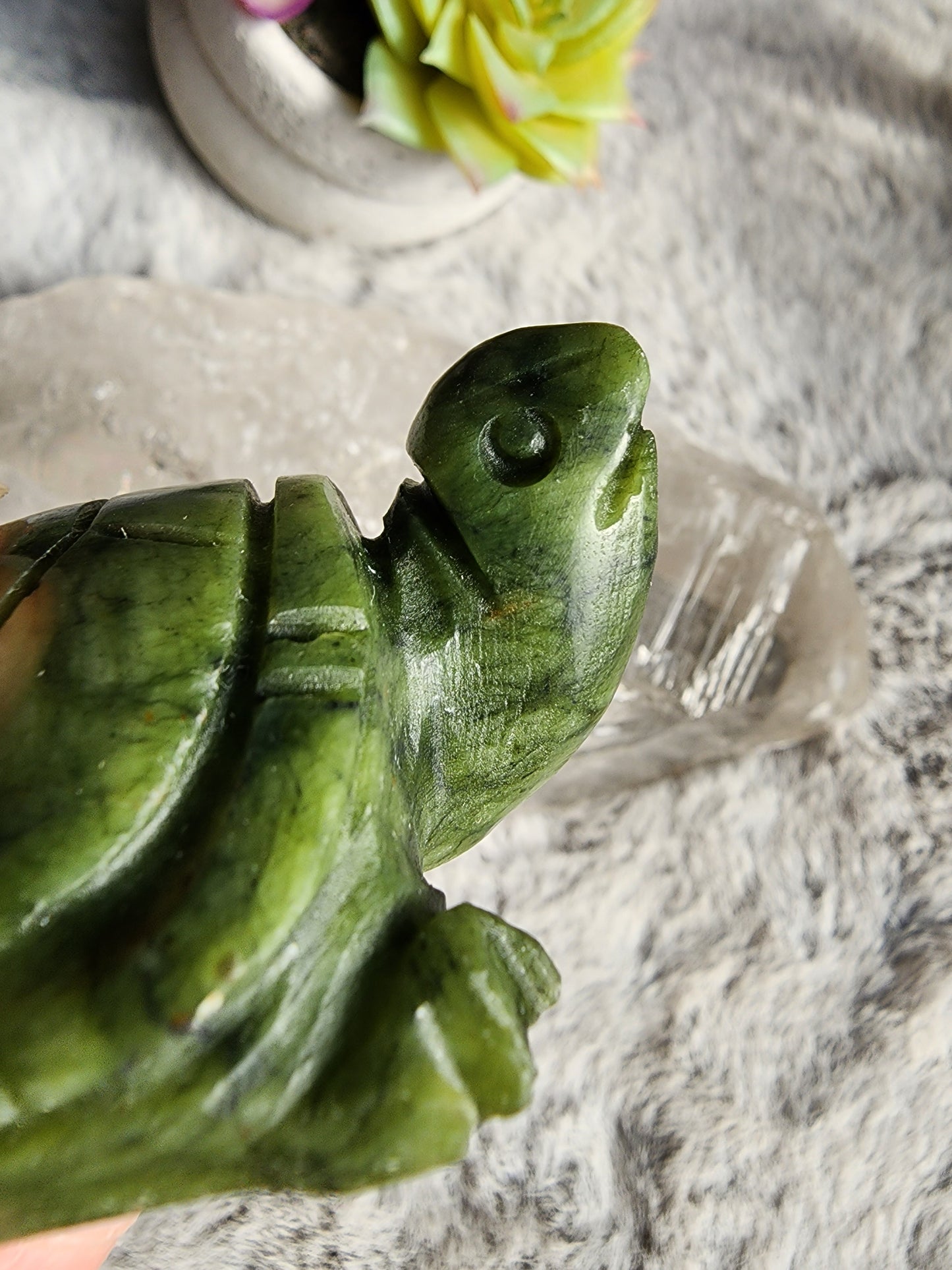 Serpentine Turtle