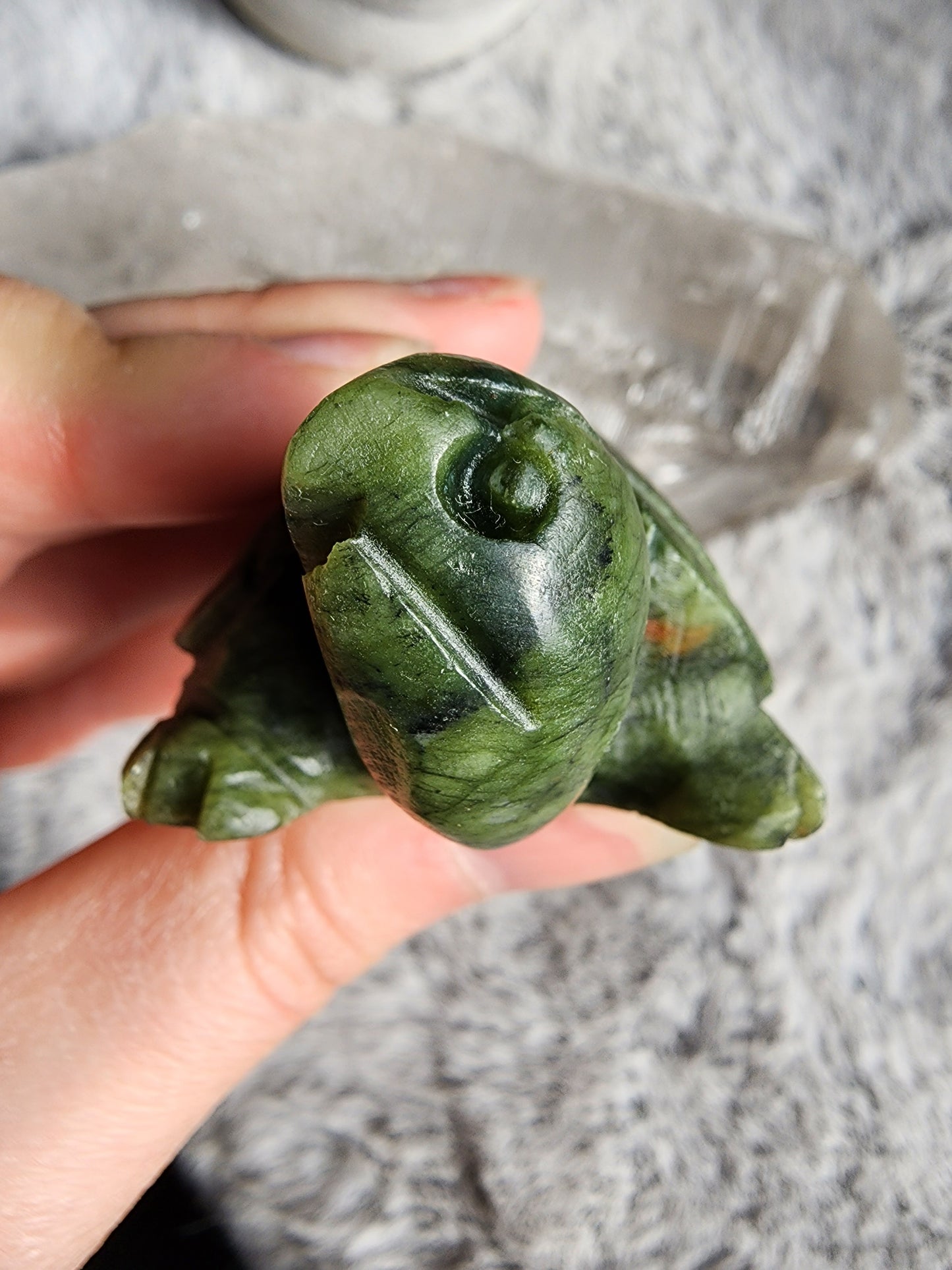 Serpentine Turtle