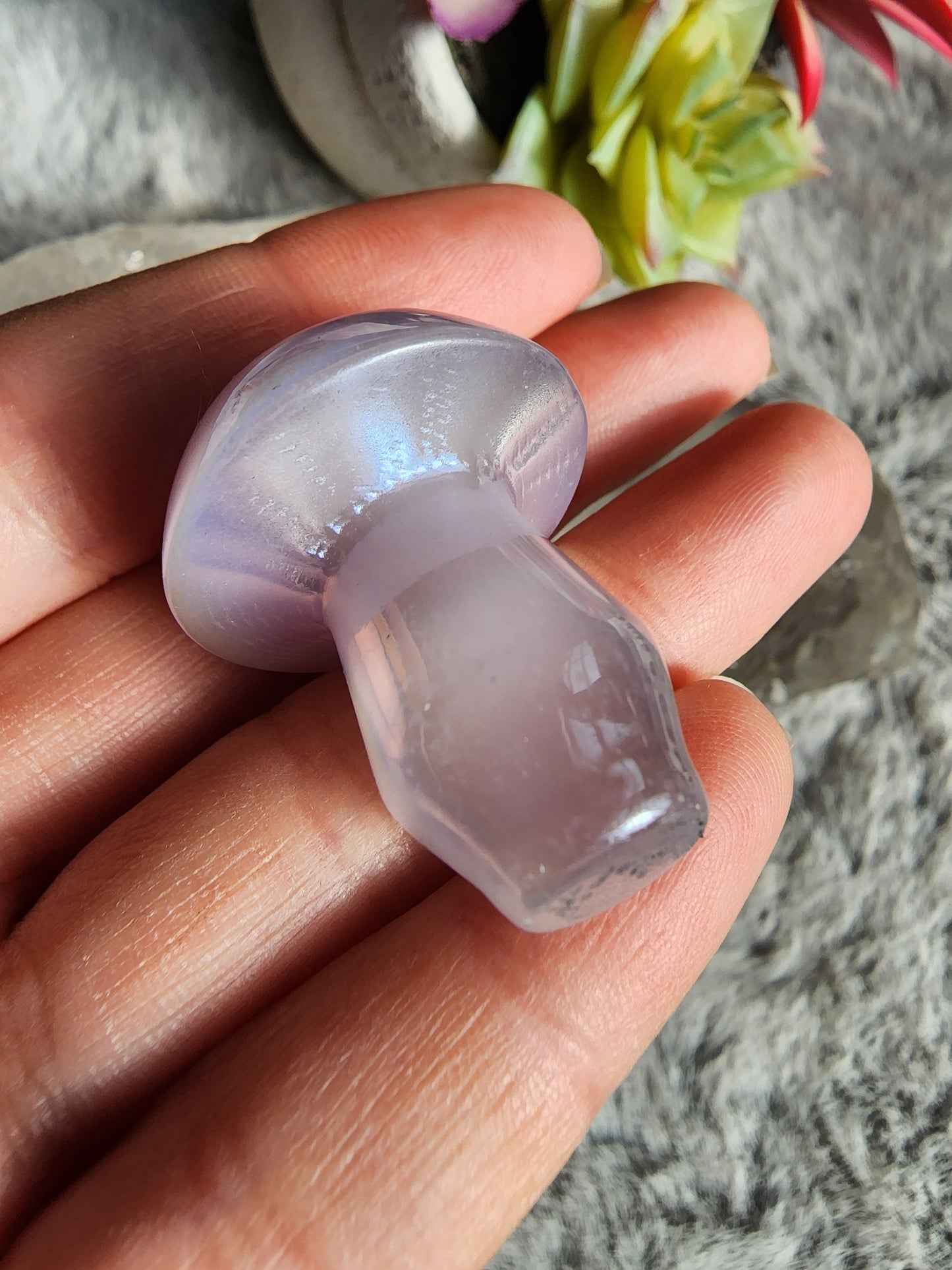 Aura Fluorite Shroom