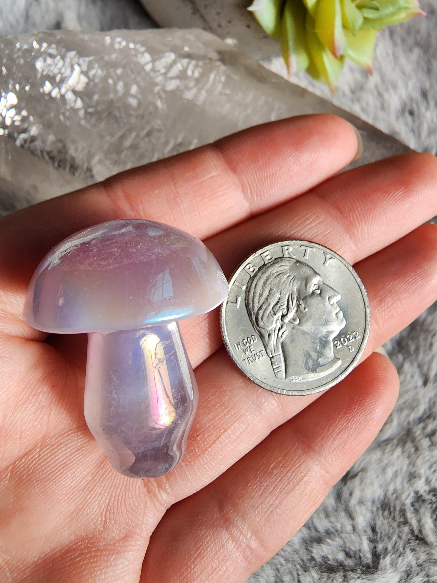 Aura Fluorite Shroom