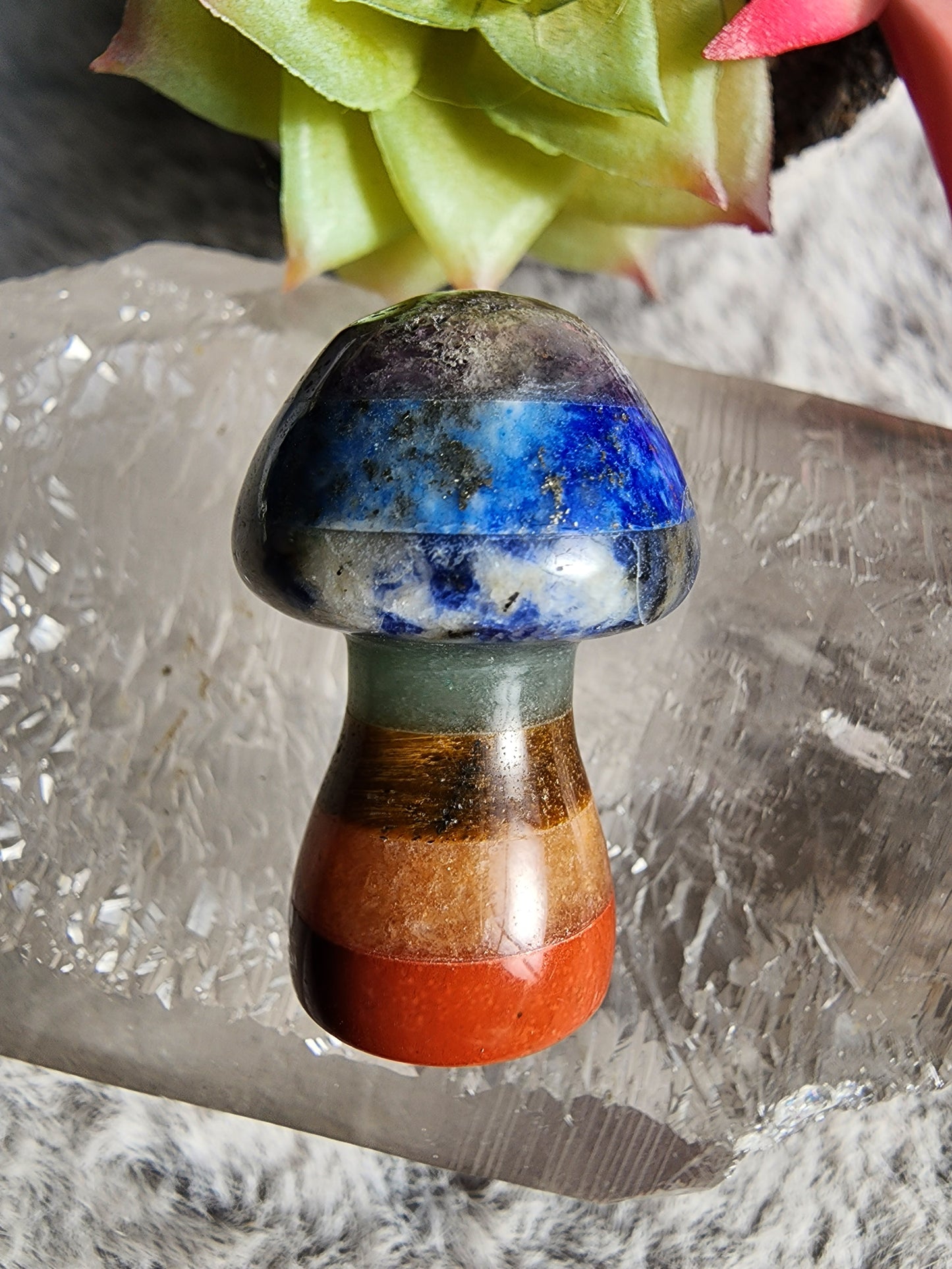 Chakra Shroom