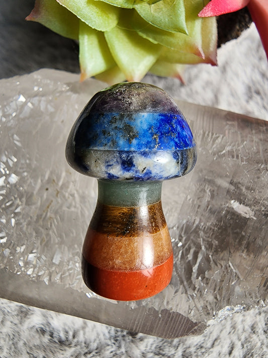 Chakra Shroom