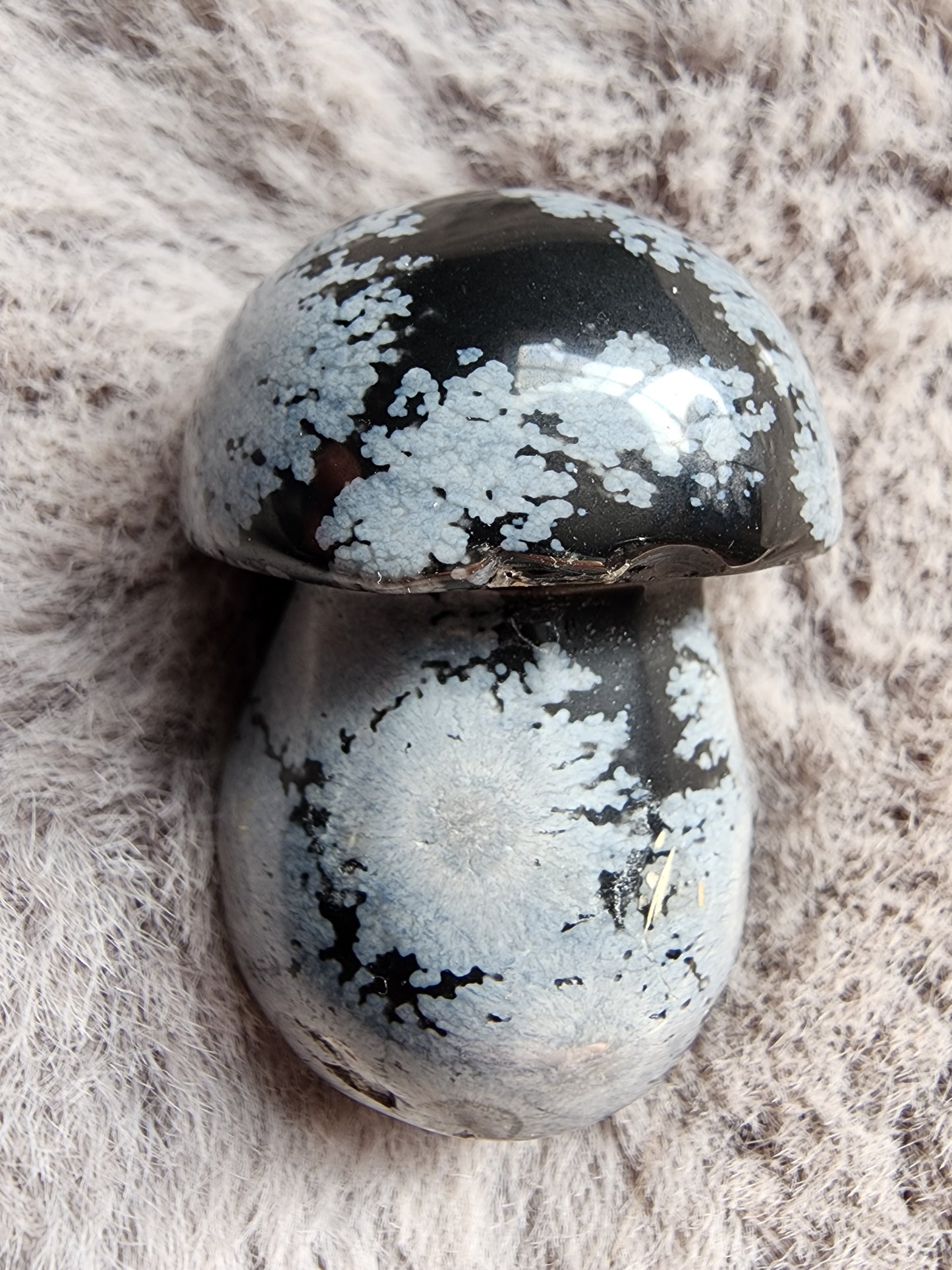 Snowflake Obsidian Mushroom