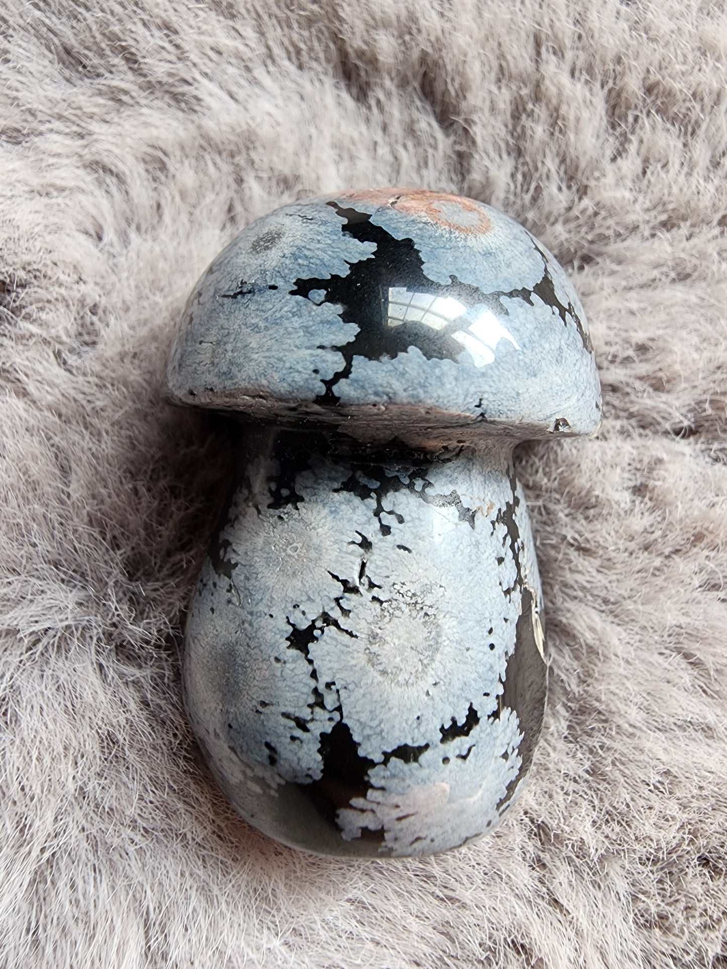 Snowflake Obsidian Mushroom