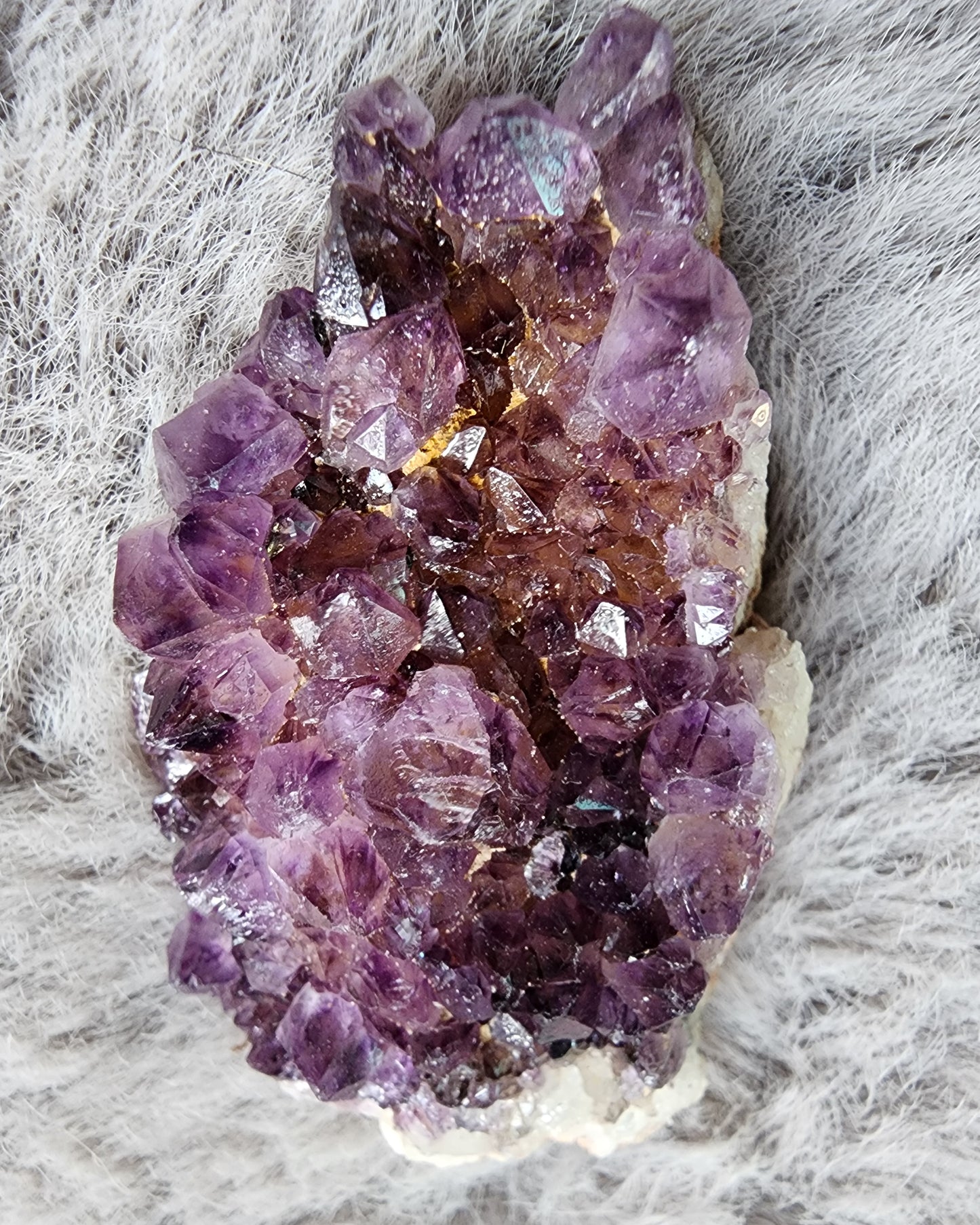 Amethyst Cluster