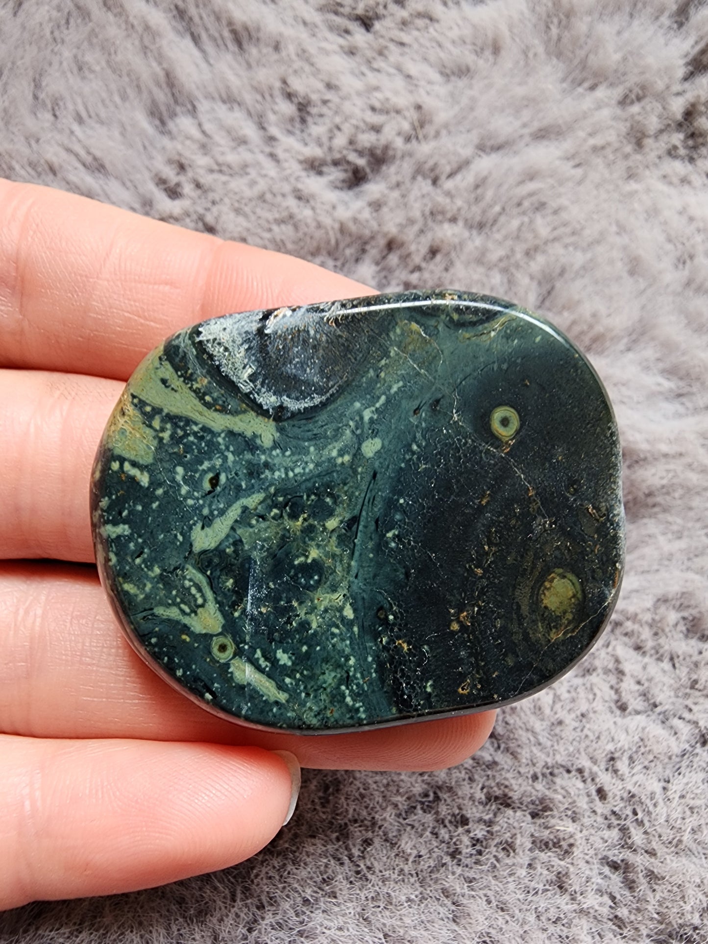 Kambaba Jasper Palmstone