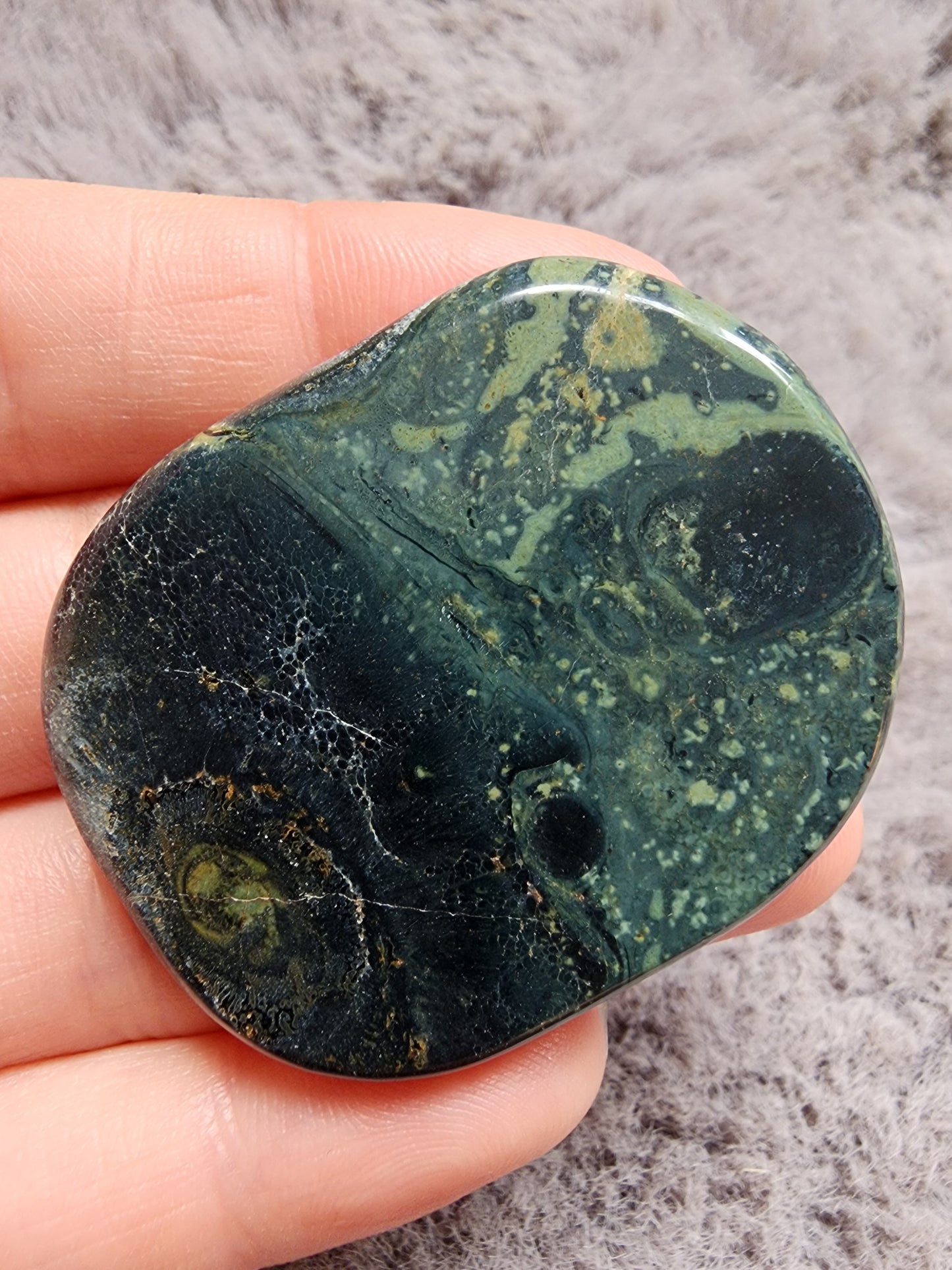 Kambaba Jasper Palmstone