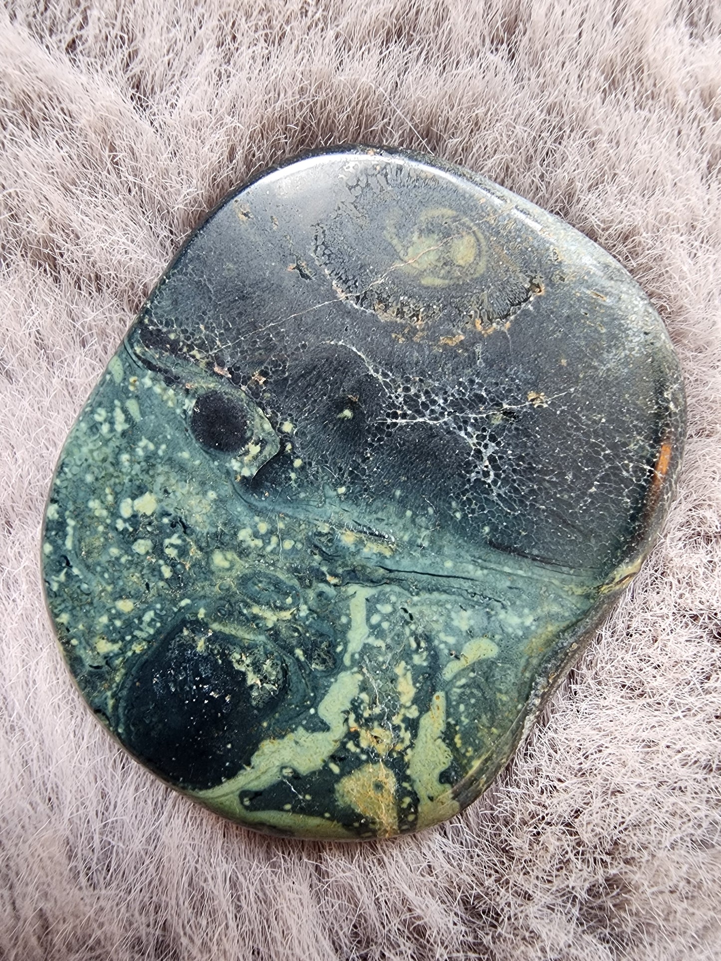 Kambaba Jasper Palmstone