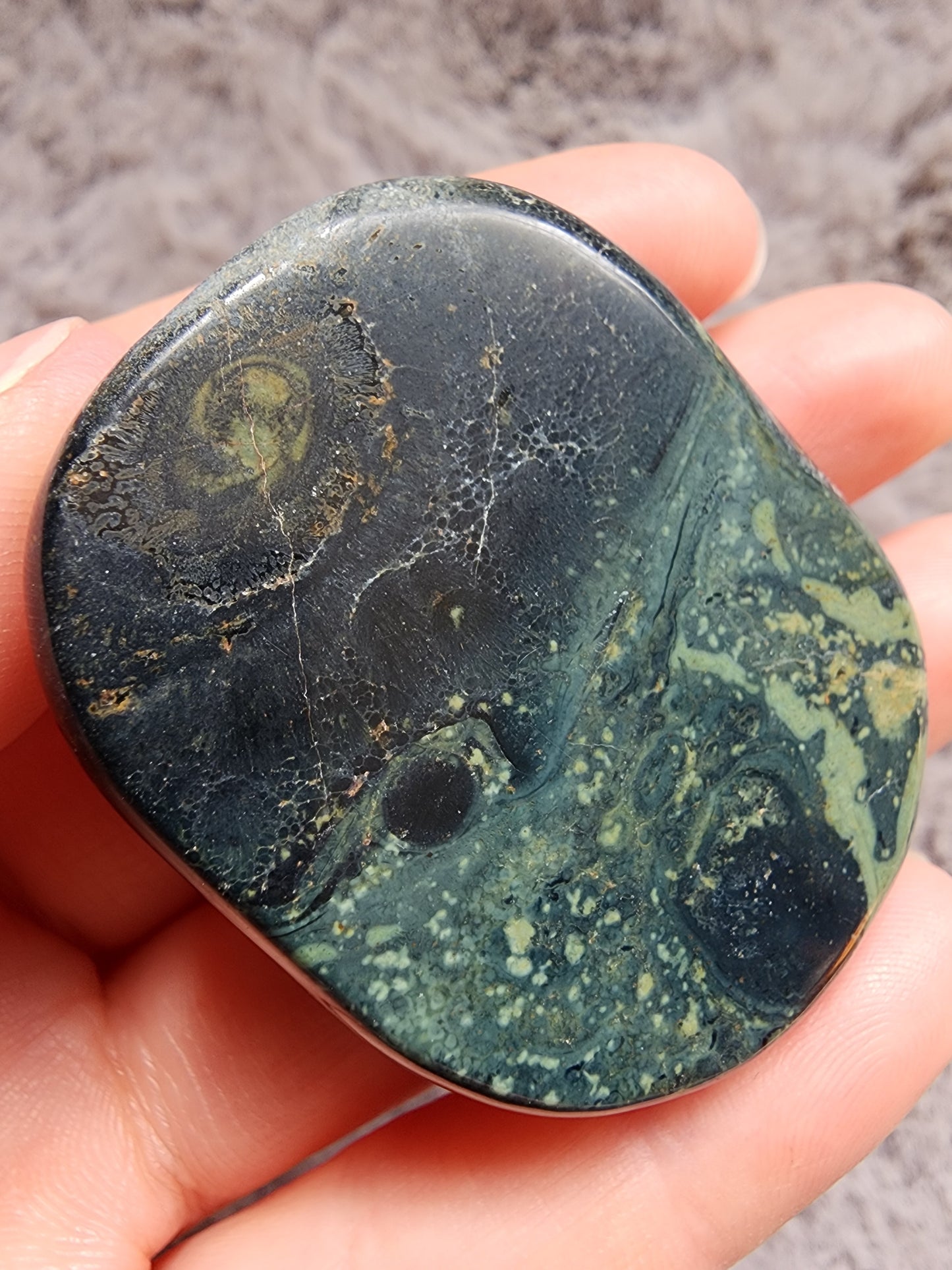 Kambaba Jasper Palmstone