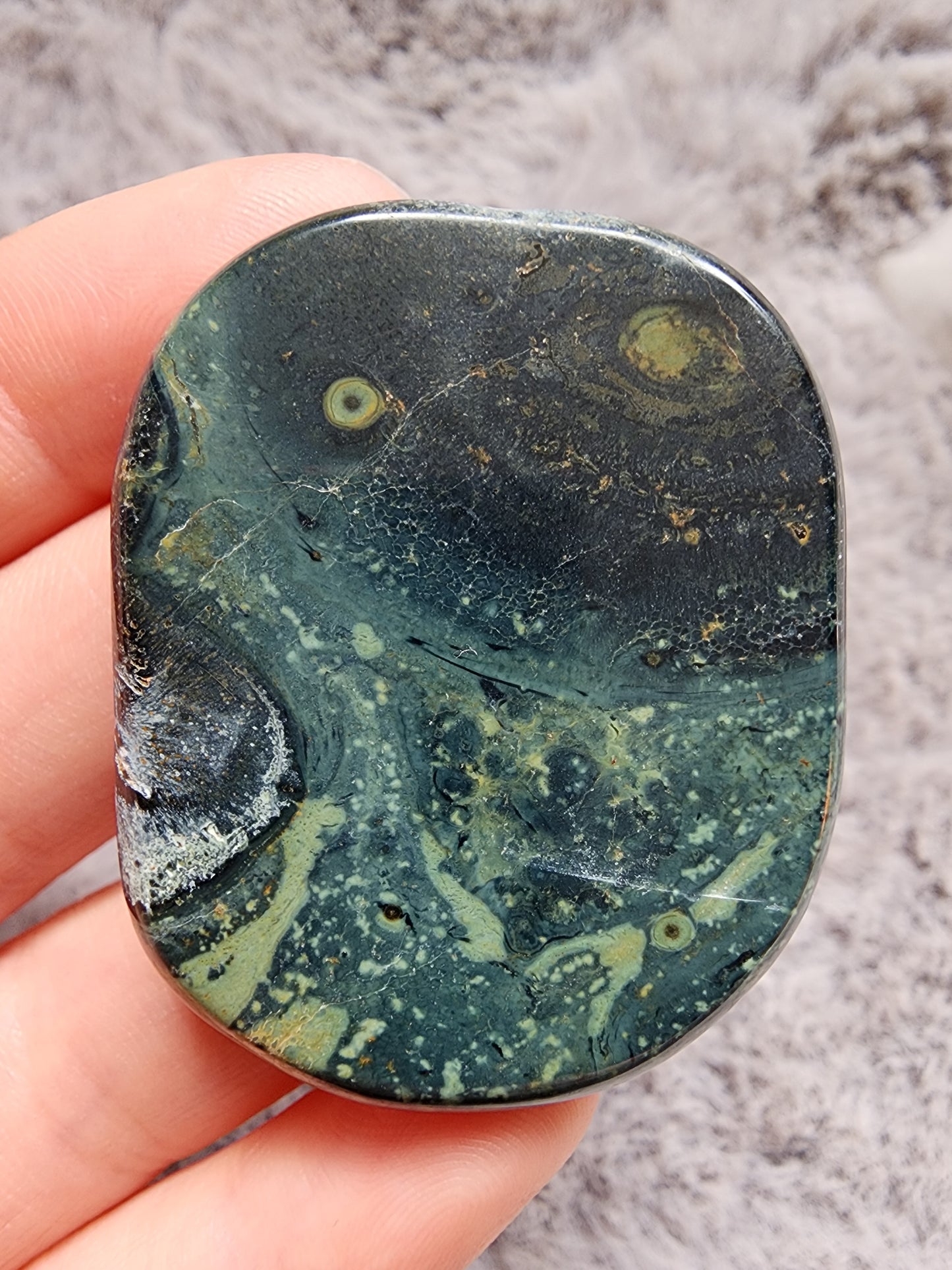 Kambaba Jasper Palmstone