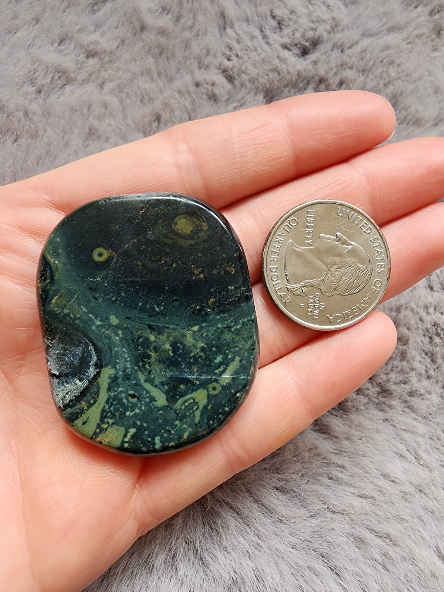 Kambaba Jasper Palmstone