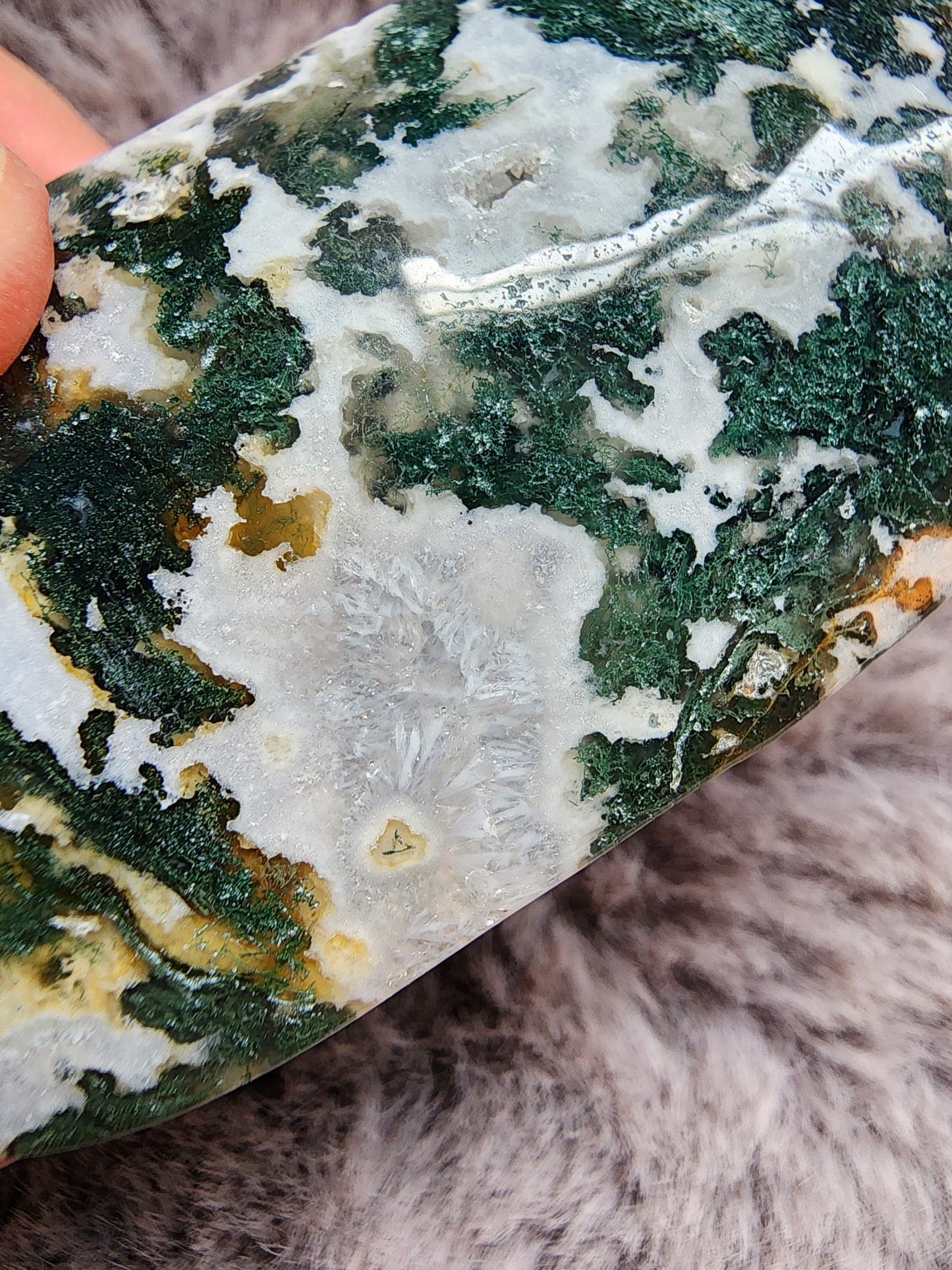 Moss Agate Palmstone