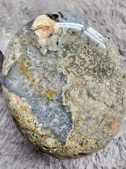 Orbicular Jasper Palmstone