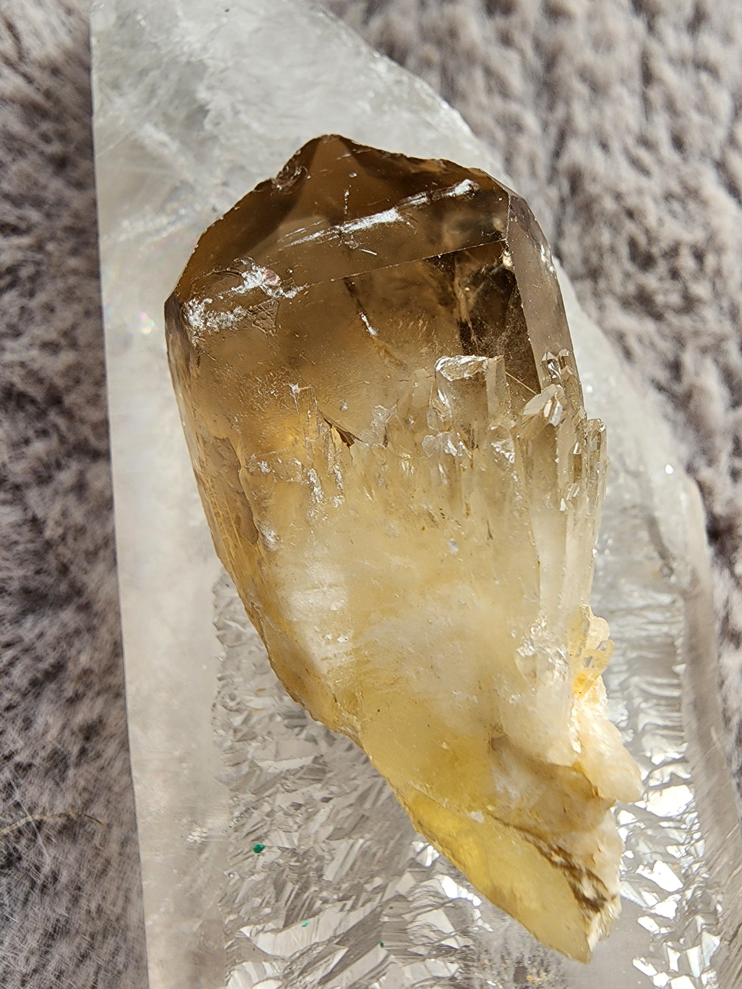 Congo Citrine