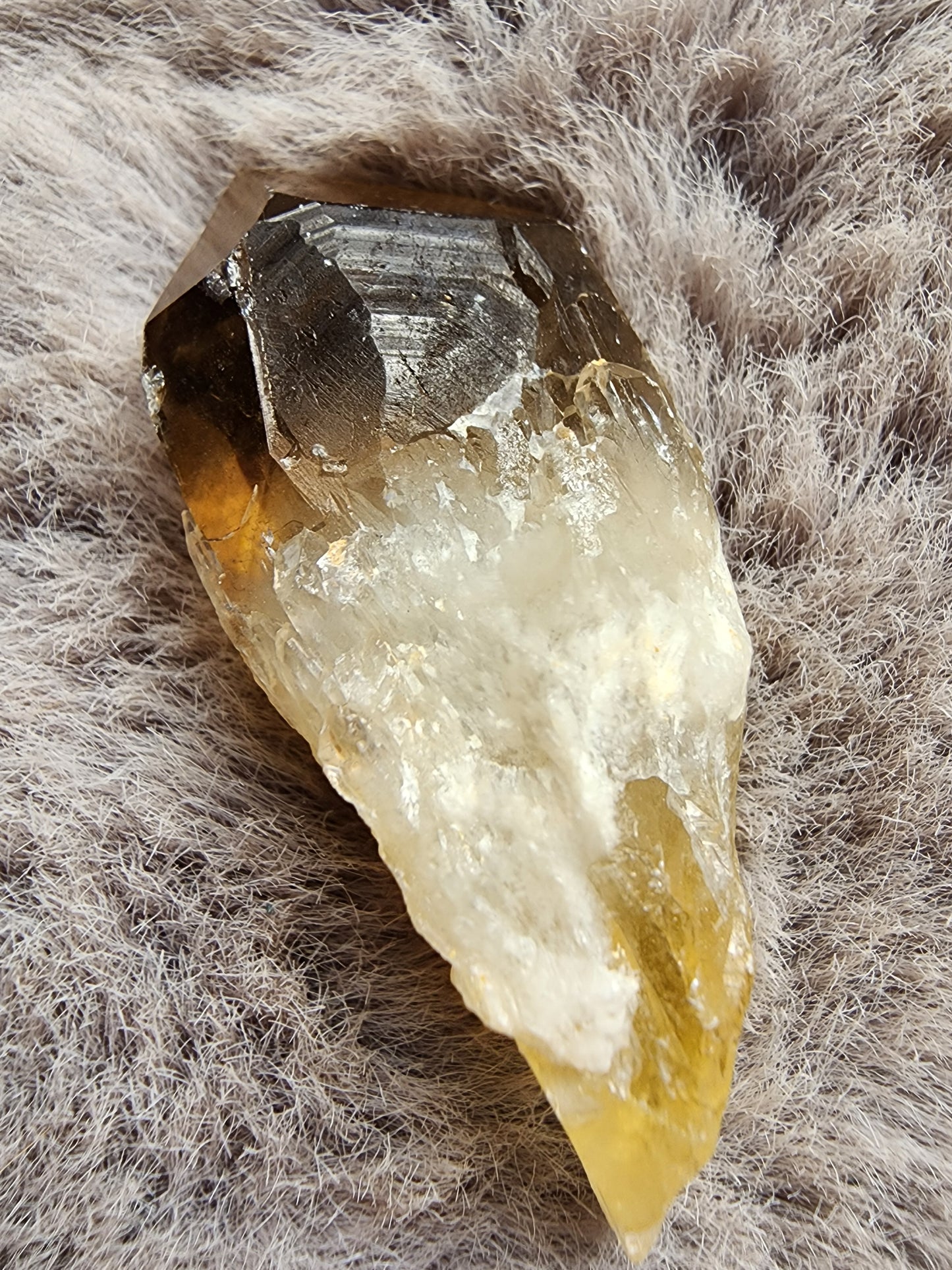 Congo Citrine