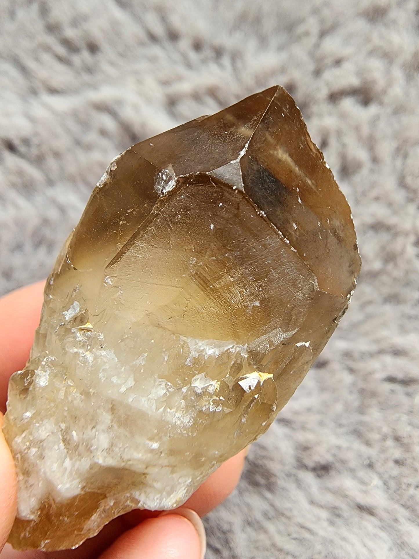 Congo Citrine