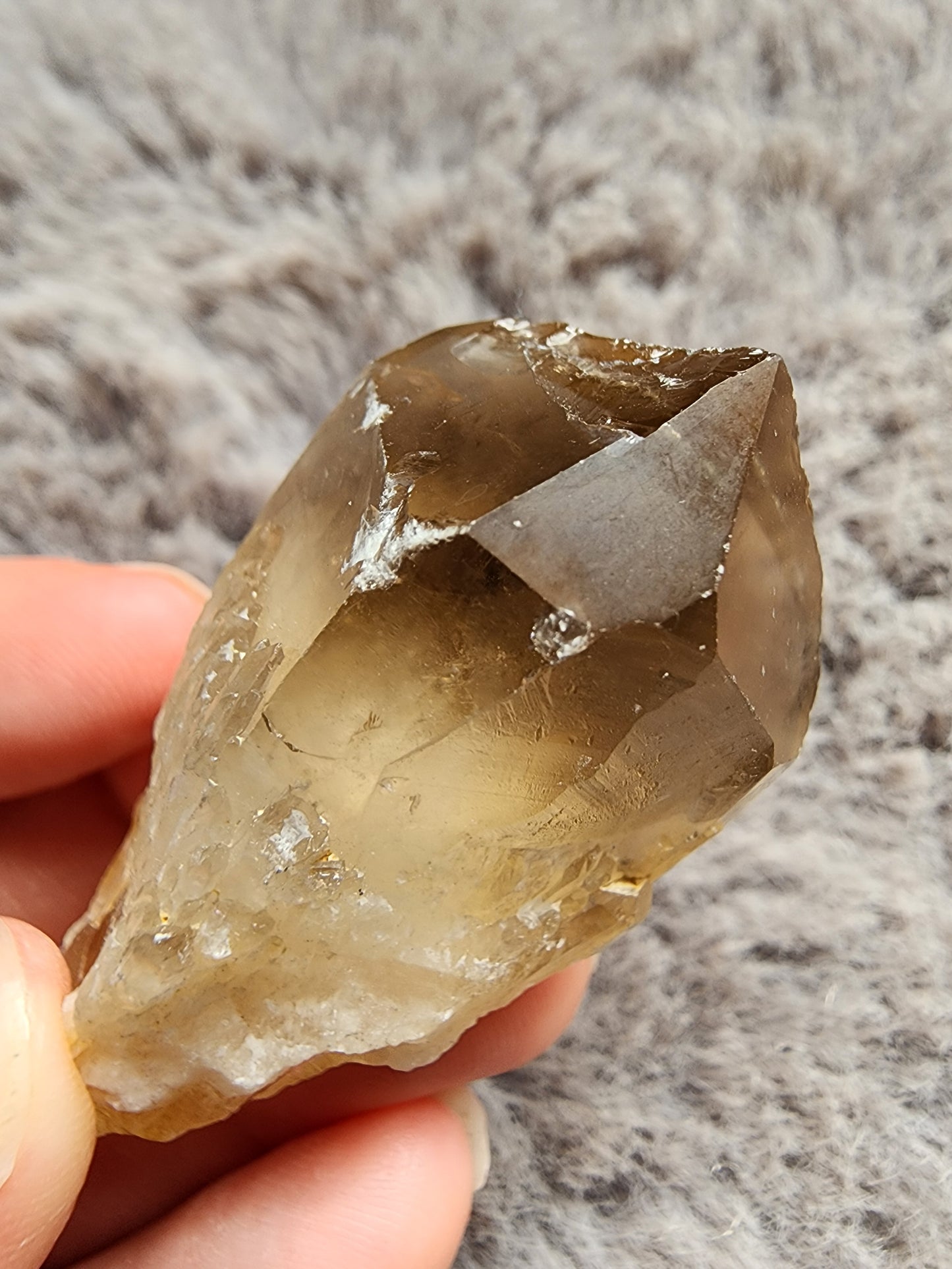 Congo Citrine