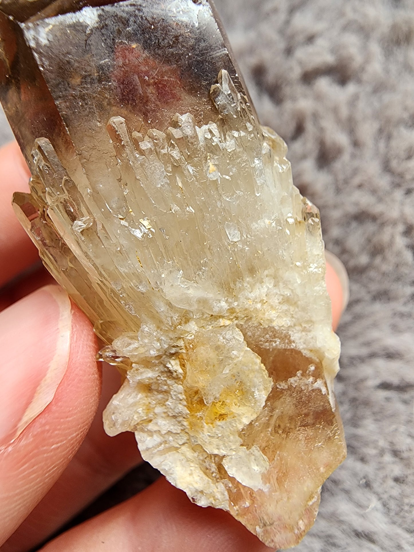 Congo Citrine