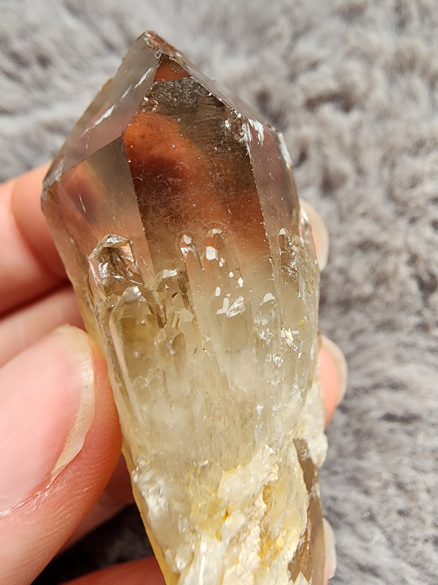 Congo Citrine