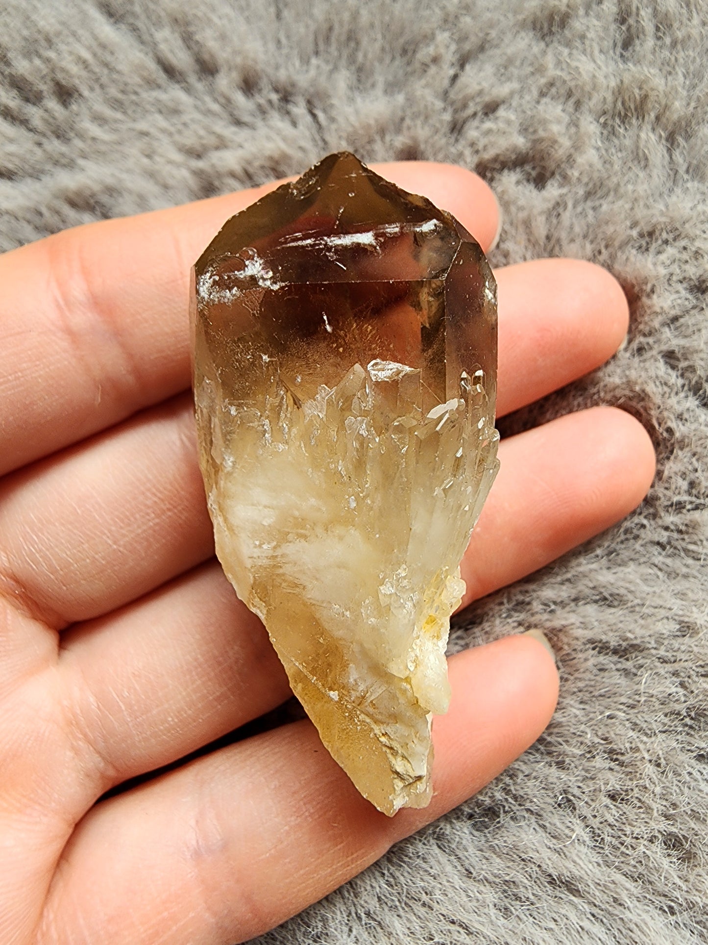 Congo Citrine