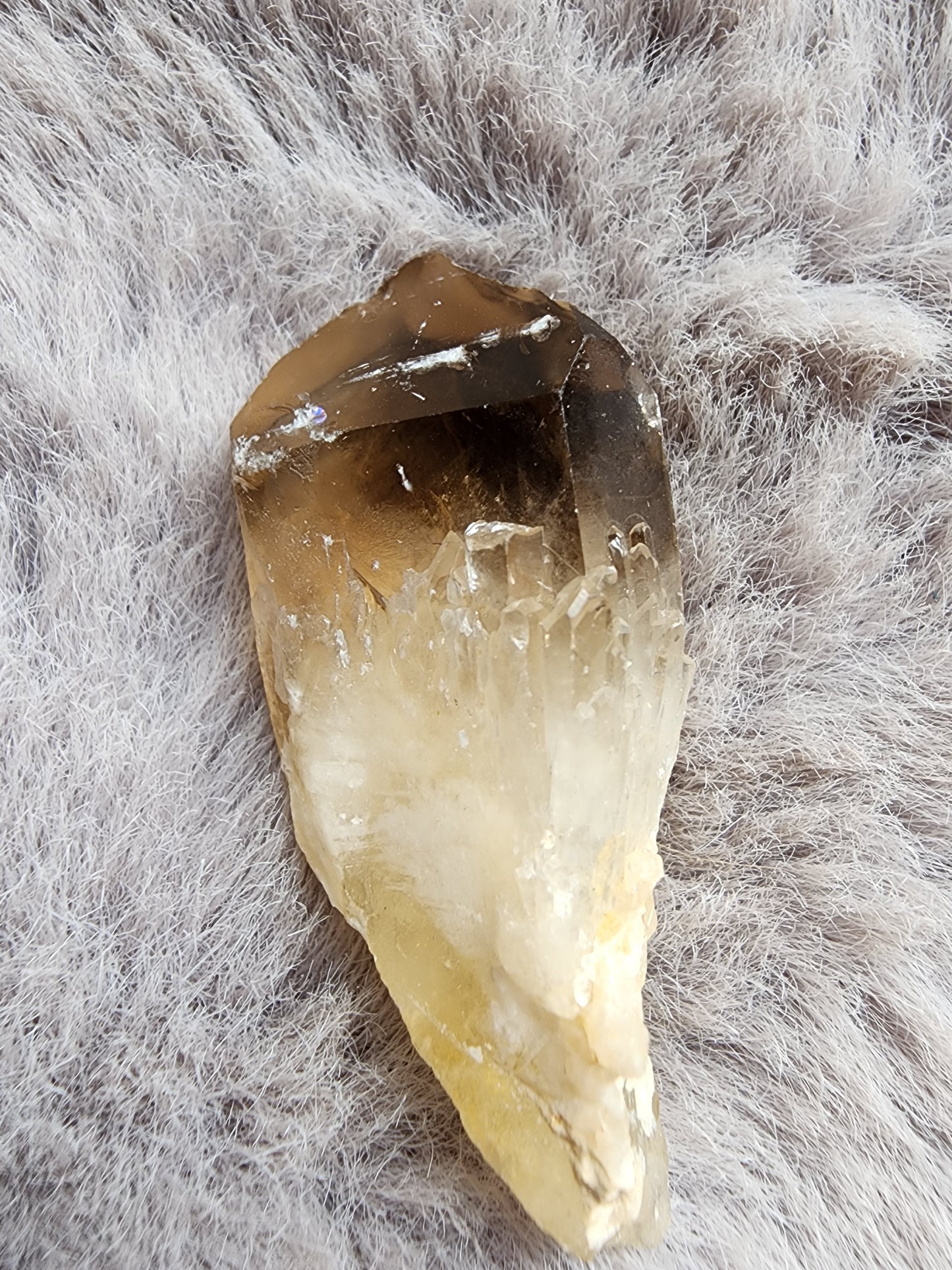 Congo Citrine