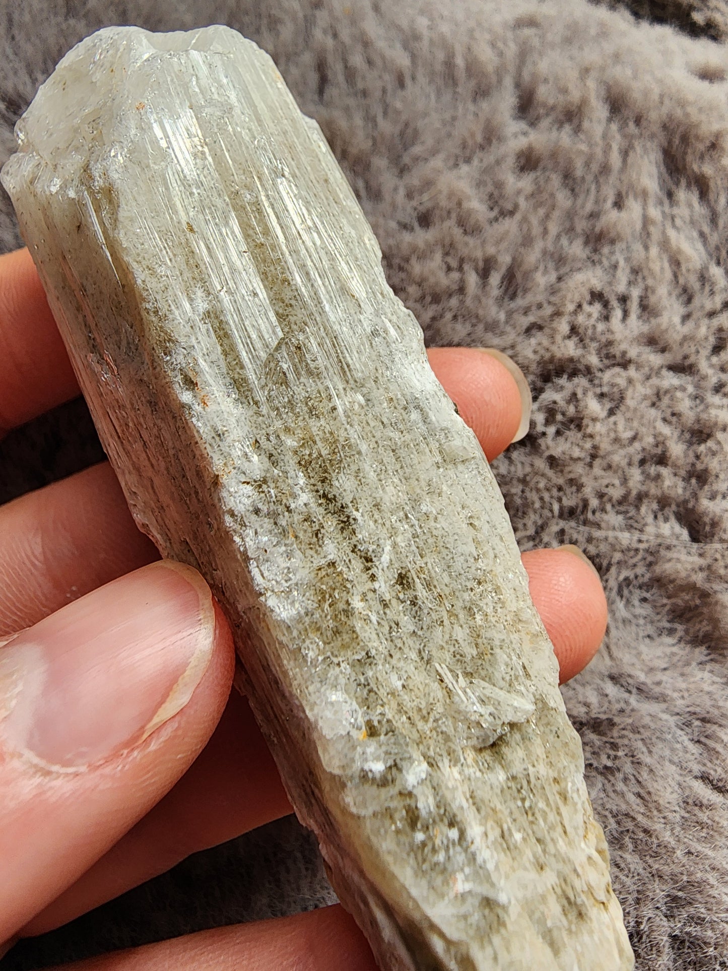 Danburite Crystal