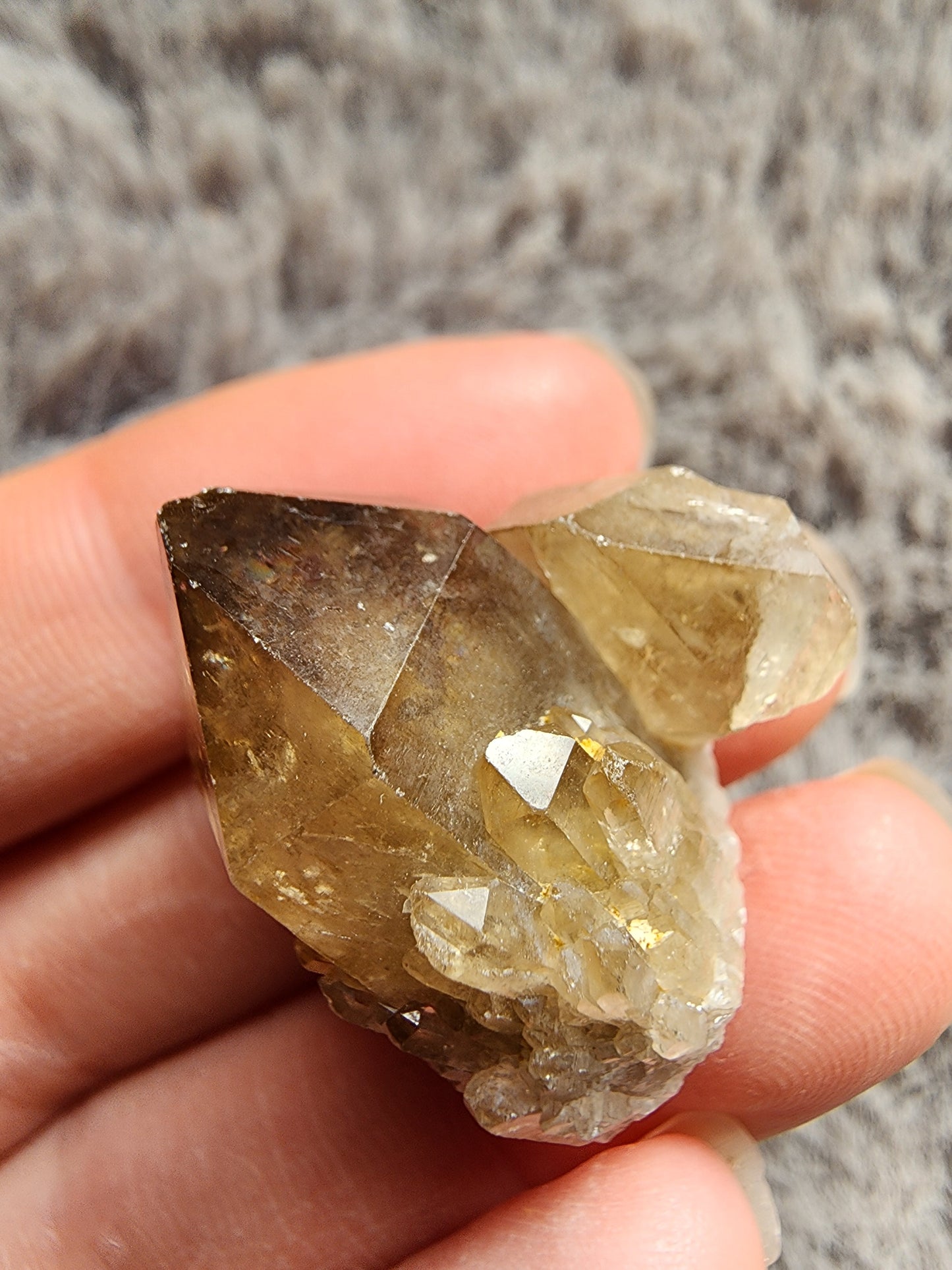 Congo Citrine