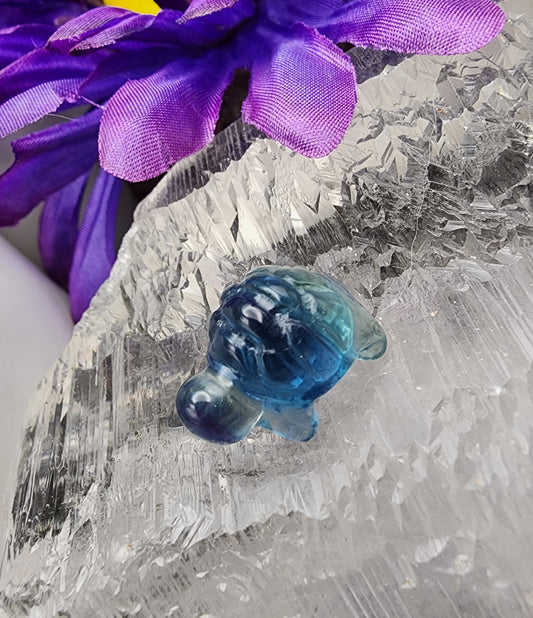 Fluorite Turtle