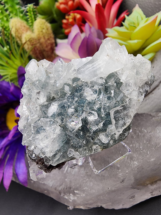 Apophyllite Cluster