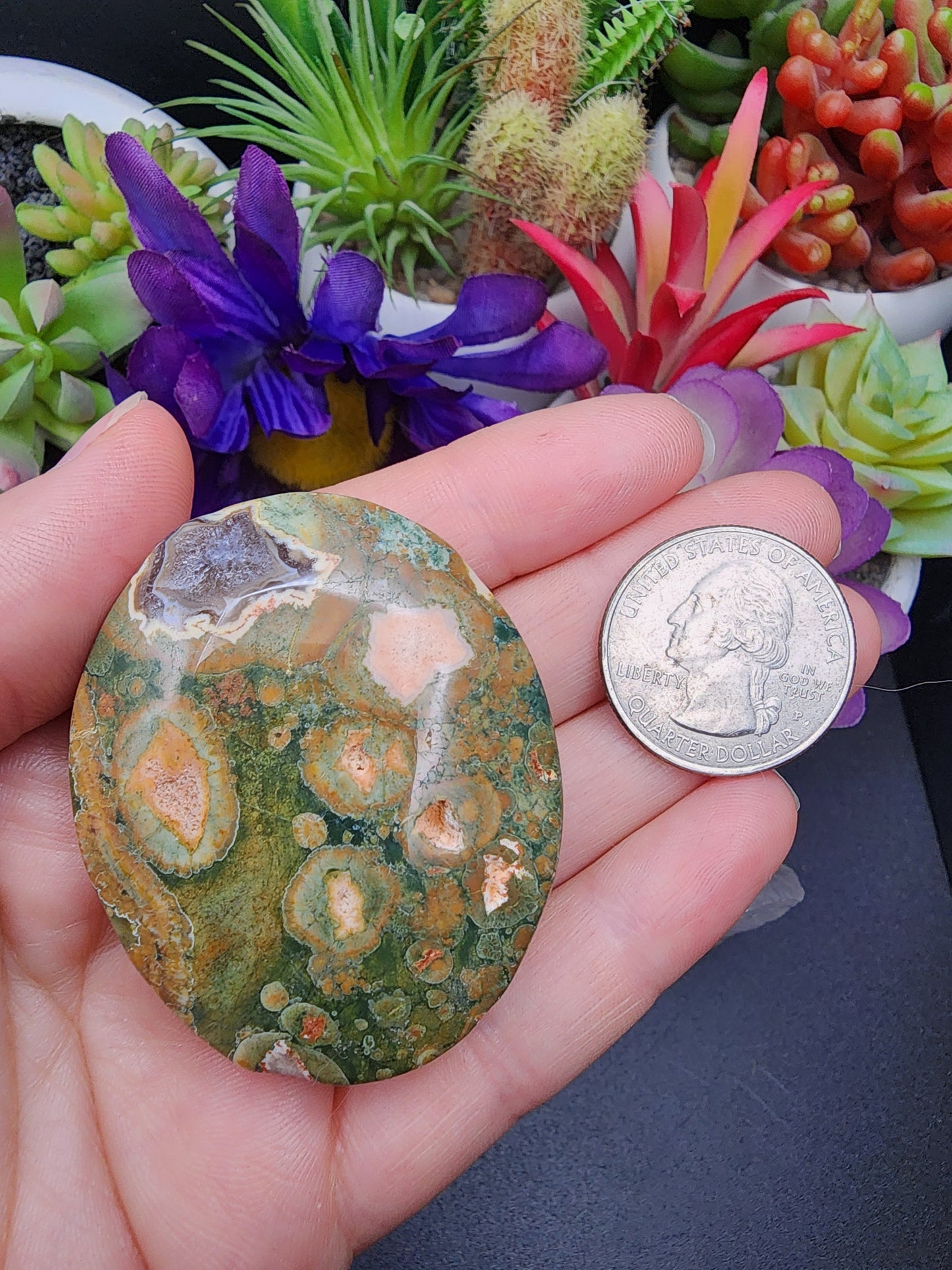 Rainforest Rhyolite