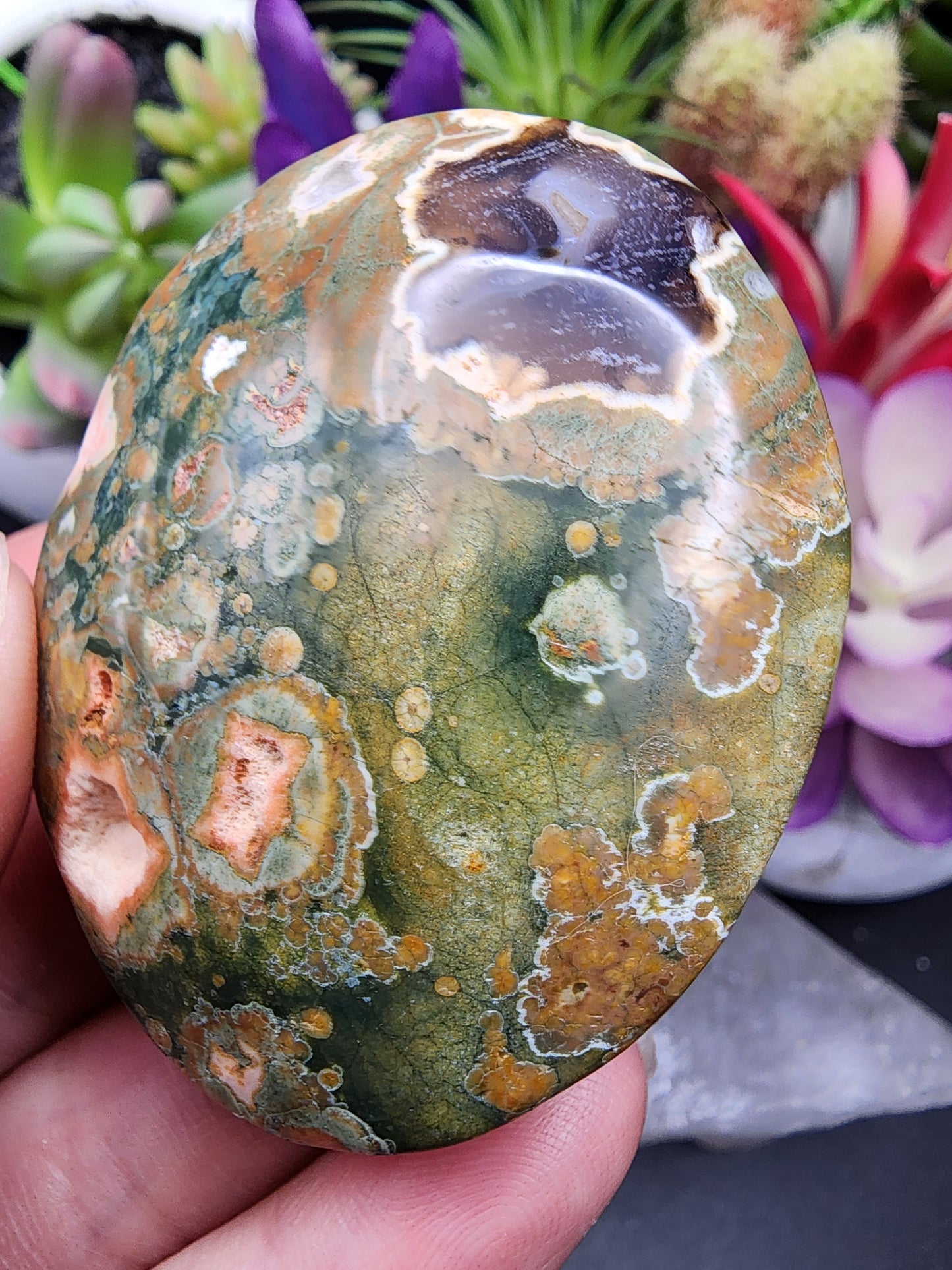 Rainforest Rhyolite