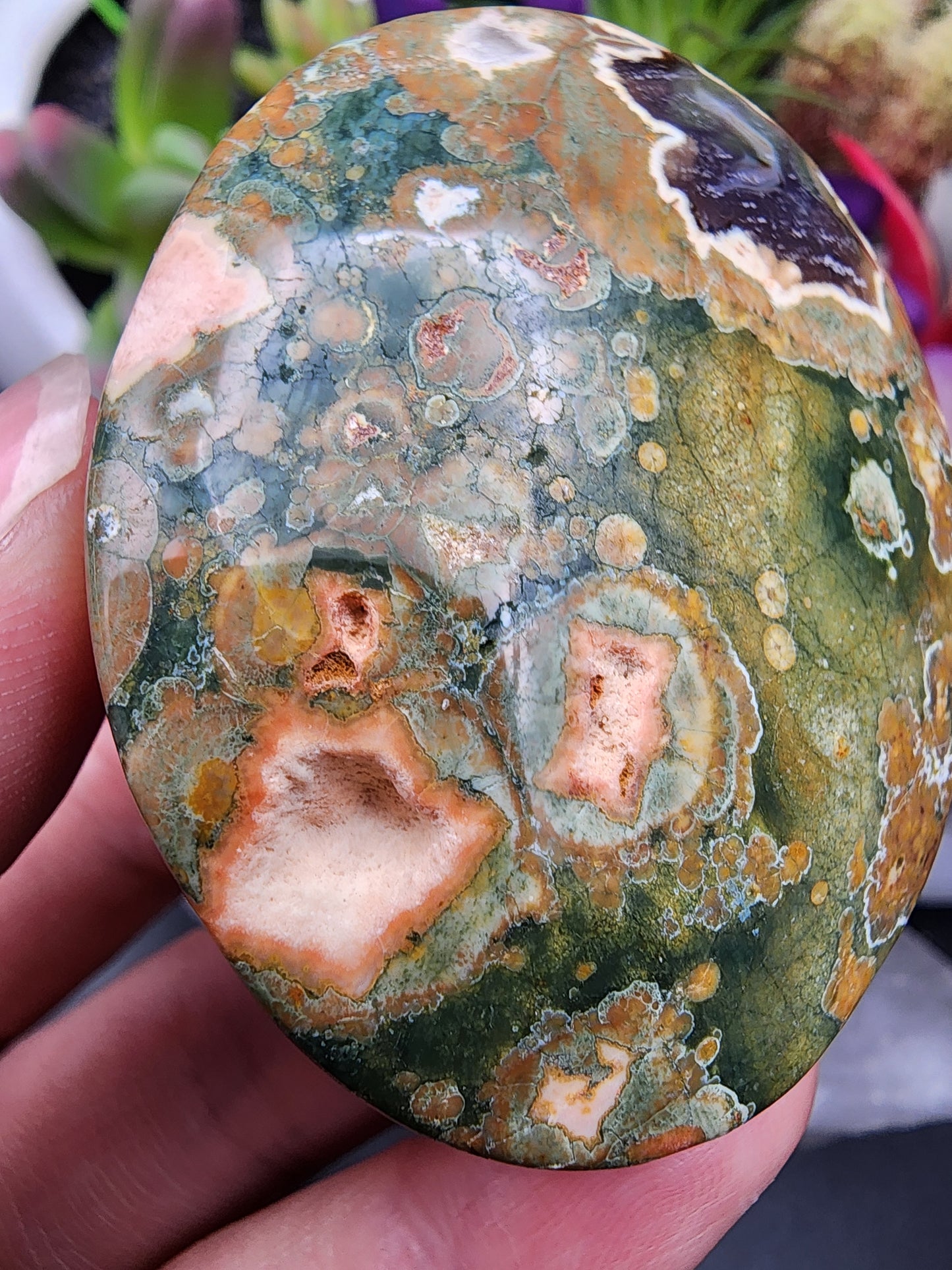 Rainforest Rhyolite