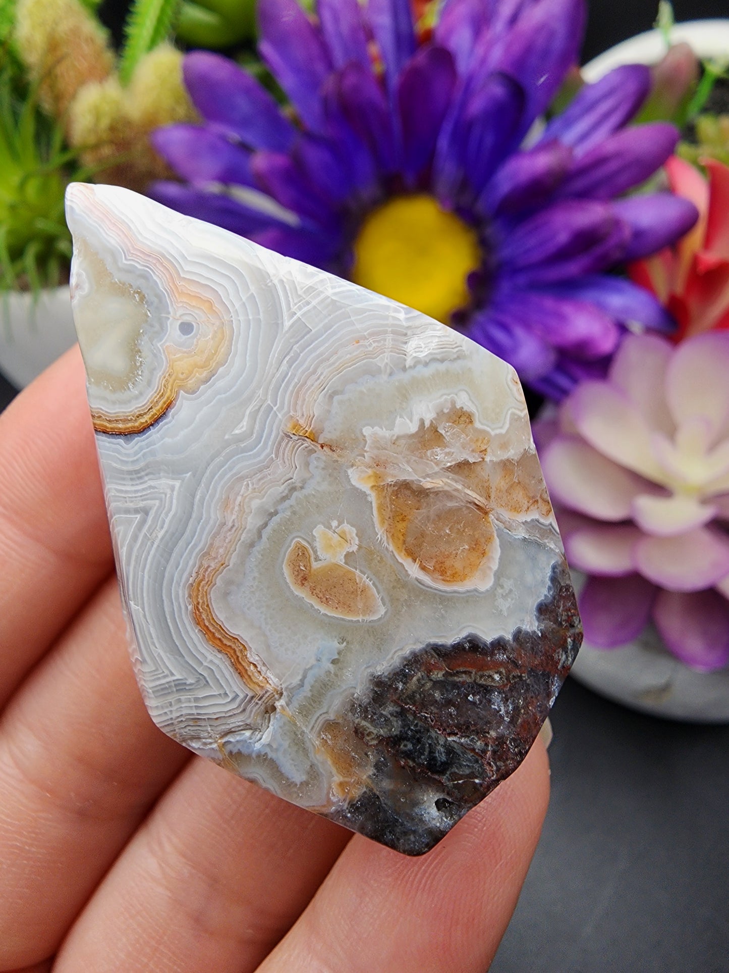 Mexican Lace Agate