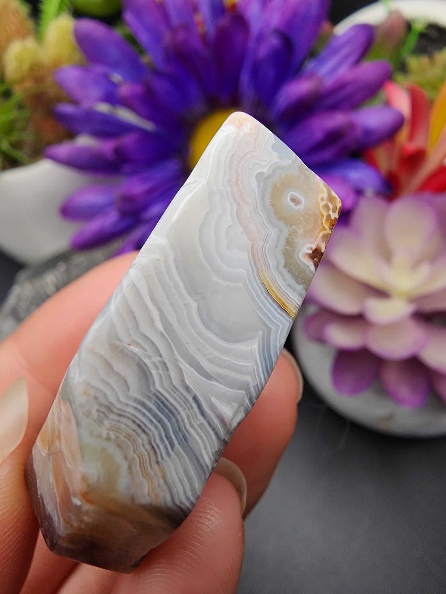 Mexican Lace Agate