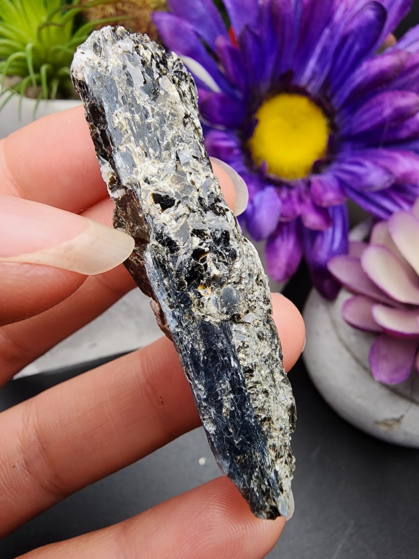 Blue Kyanite Biotite