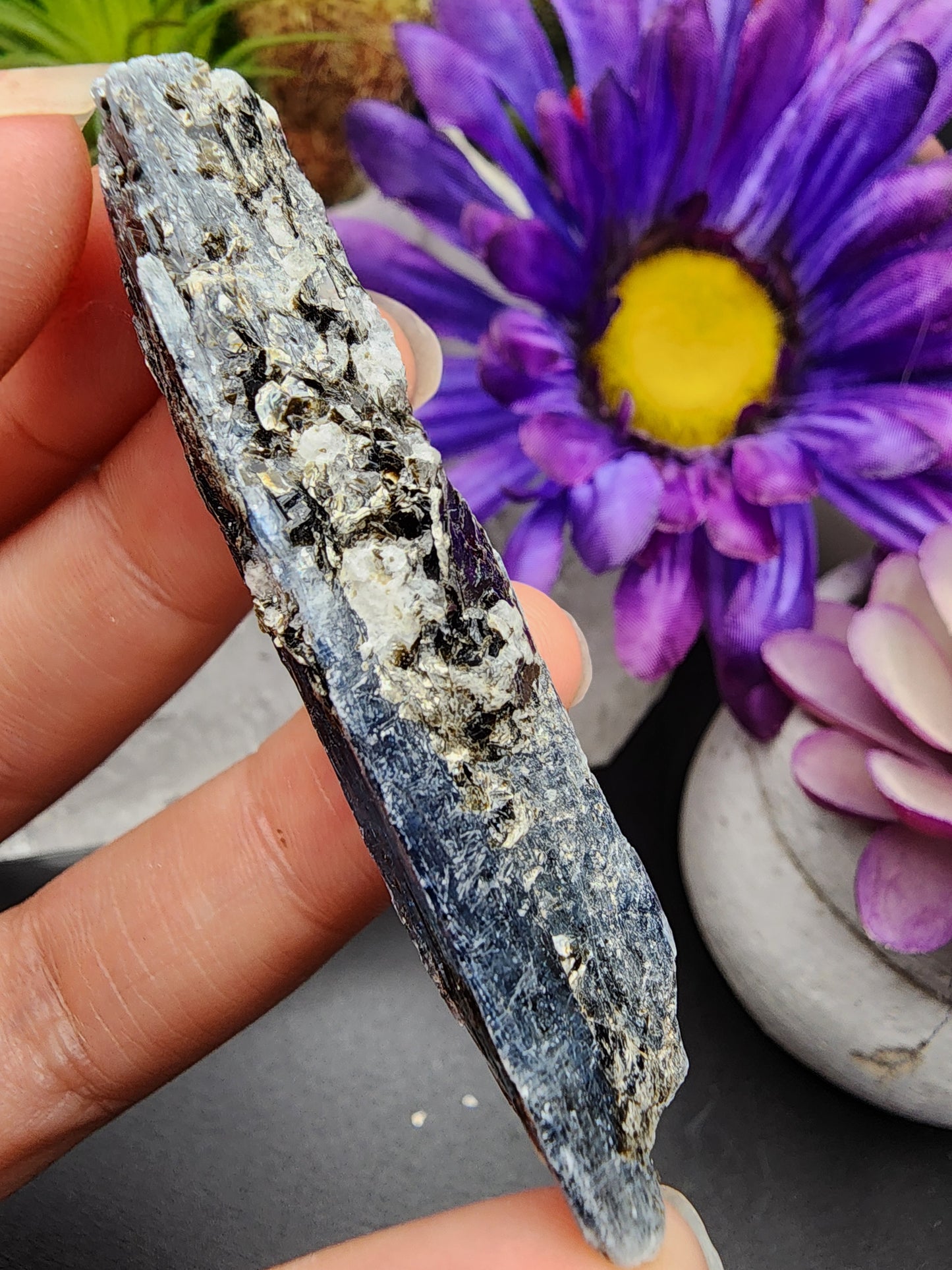 Blue Kyanite Biotite