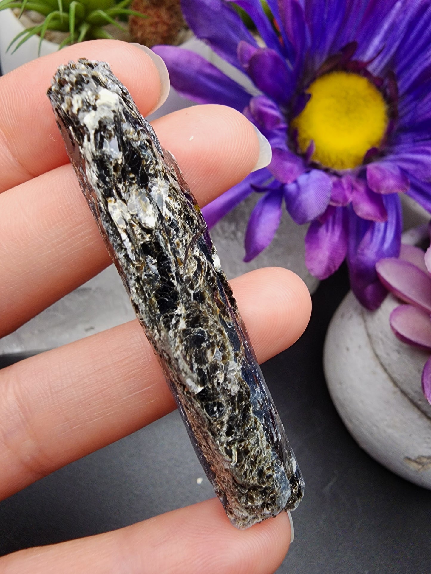 Blue Kyanite Biotite