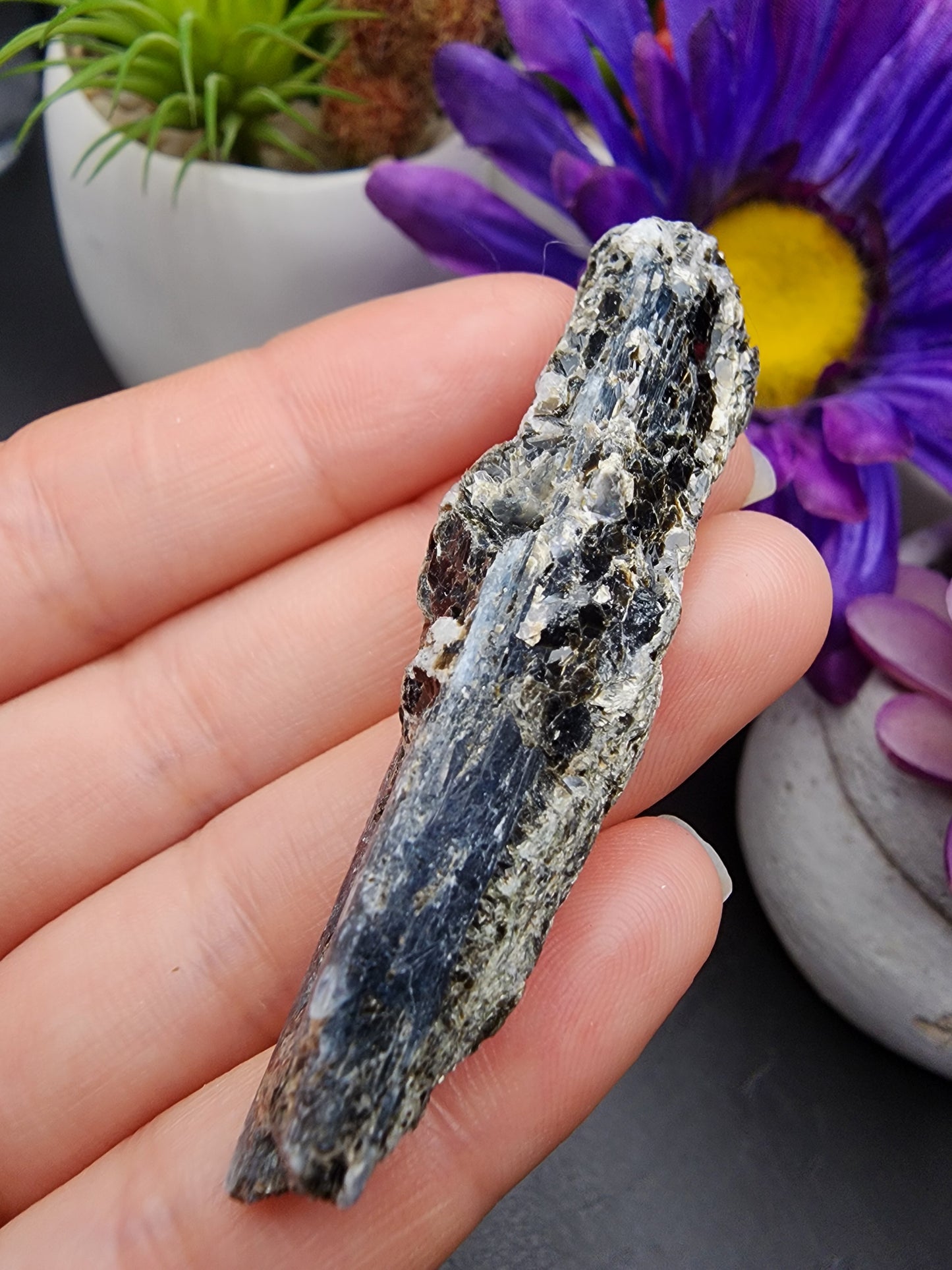 Blue Kyanite Biotite