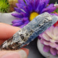 Blue Kyanite Biotite