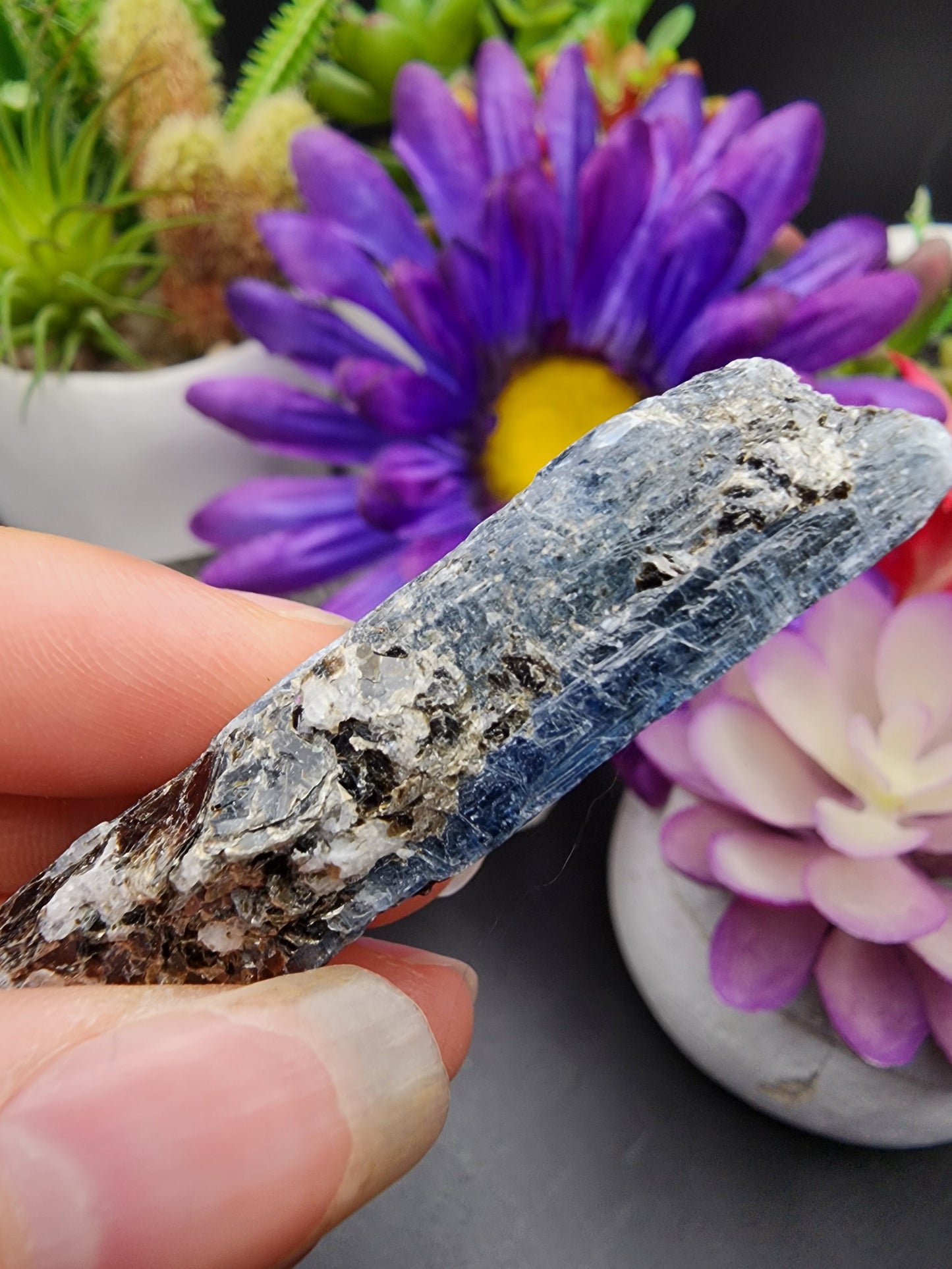 Blue Kyanite Biotite