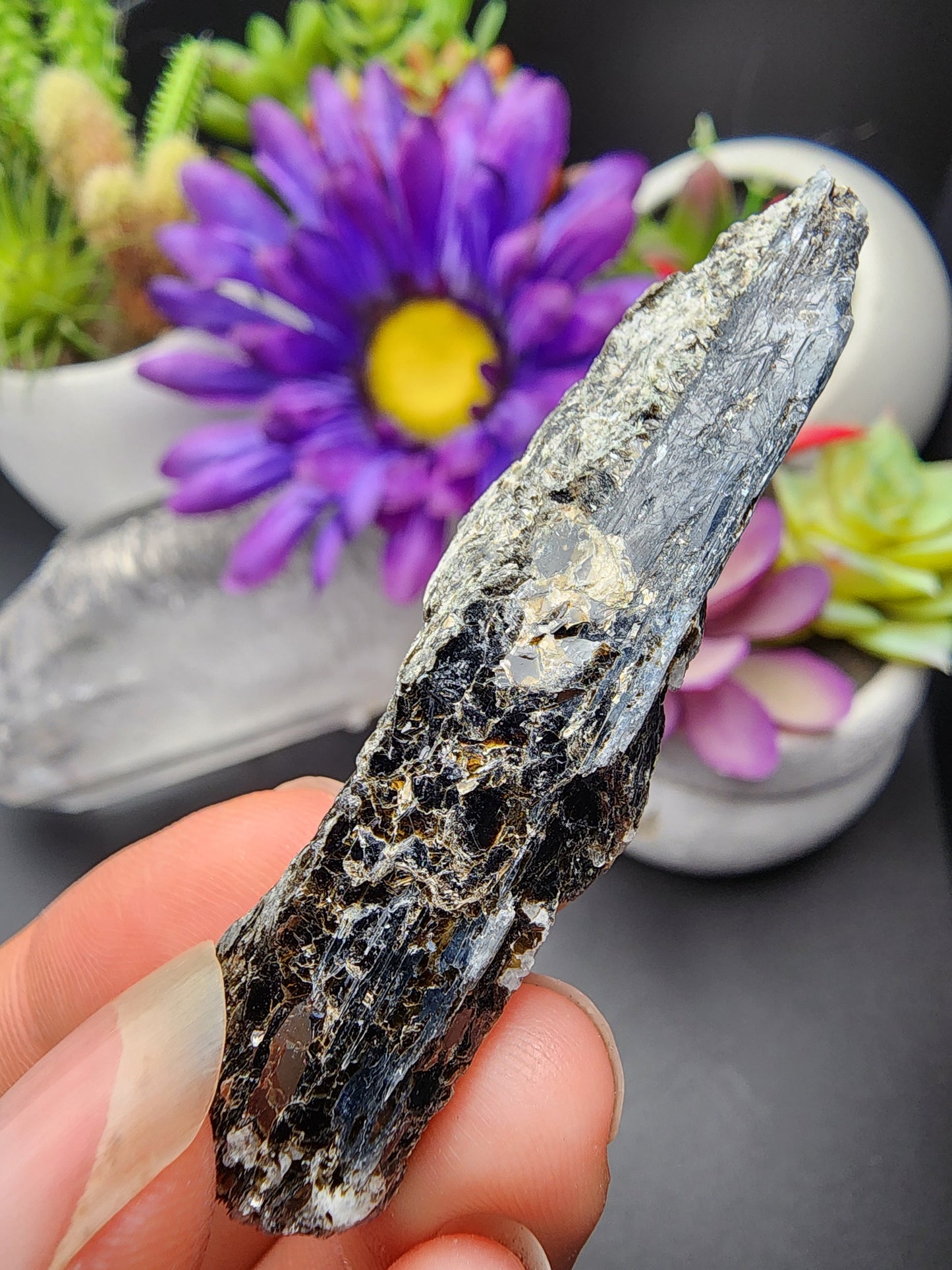 Blue Kyanite Biotite