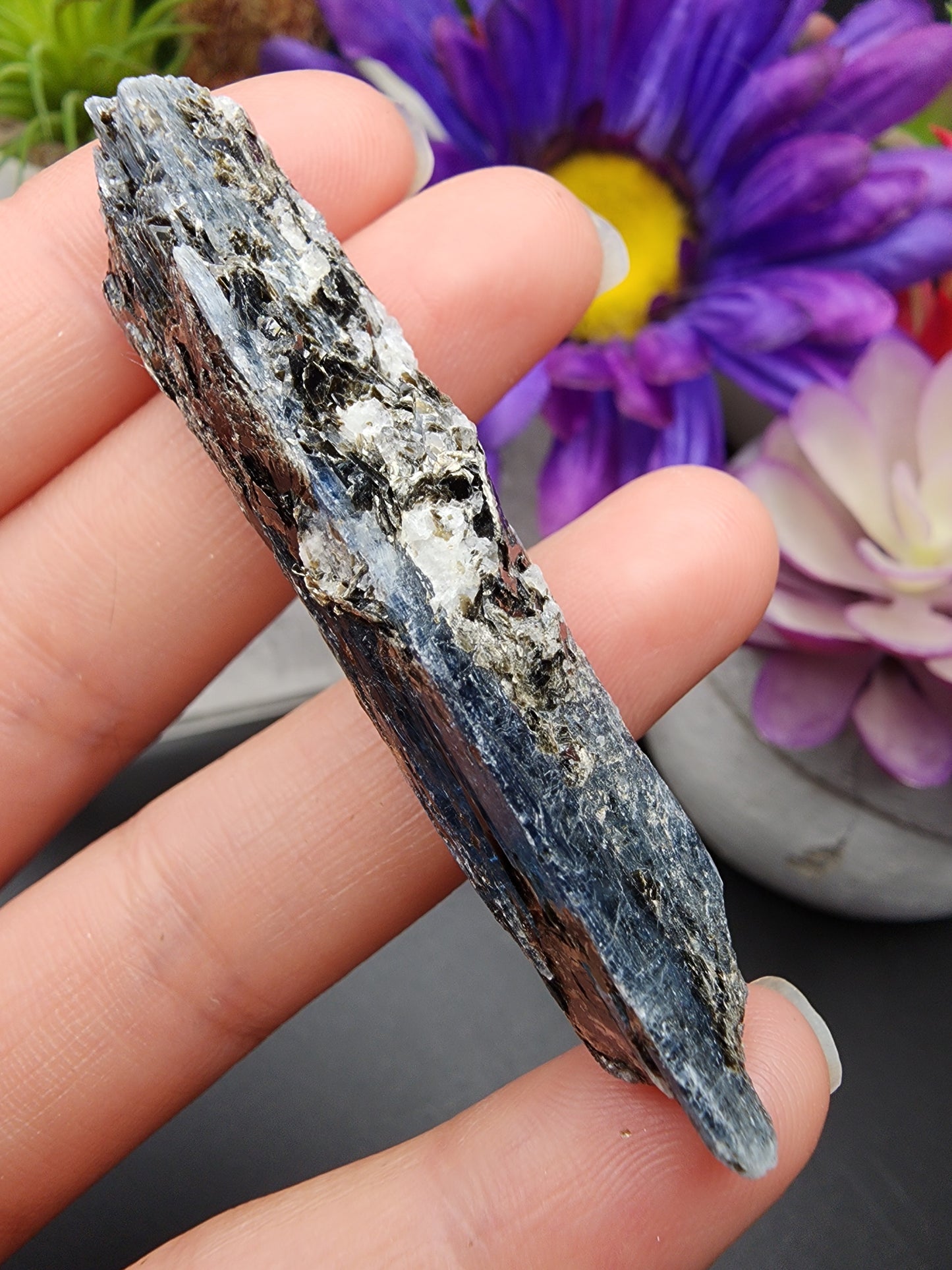 Blue Kyanite Biotite