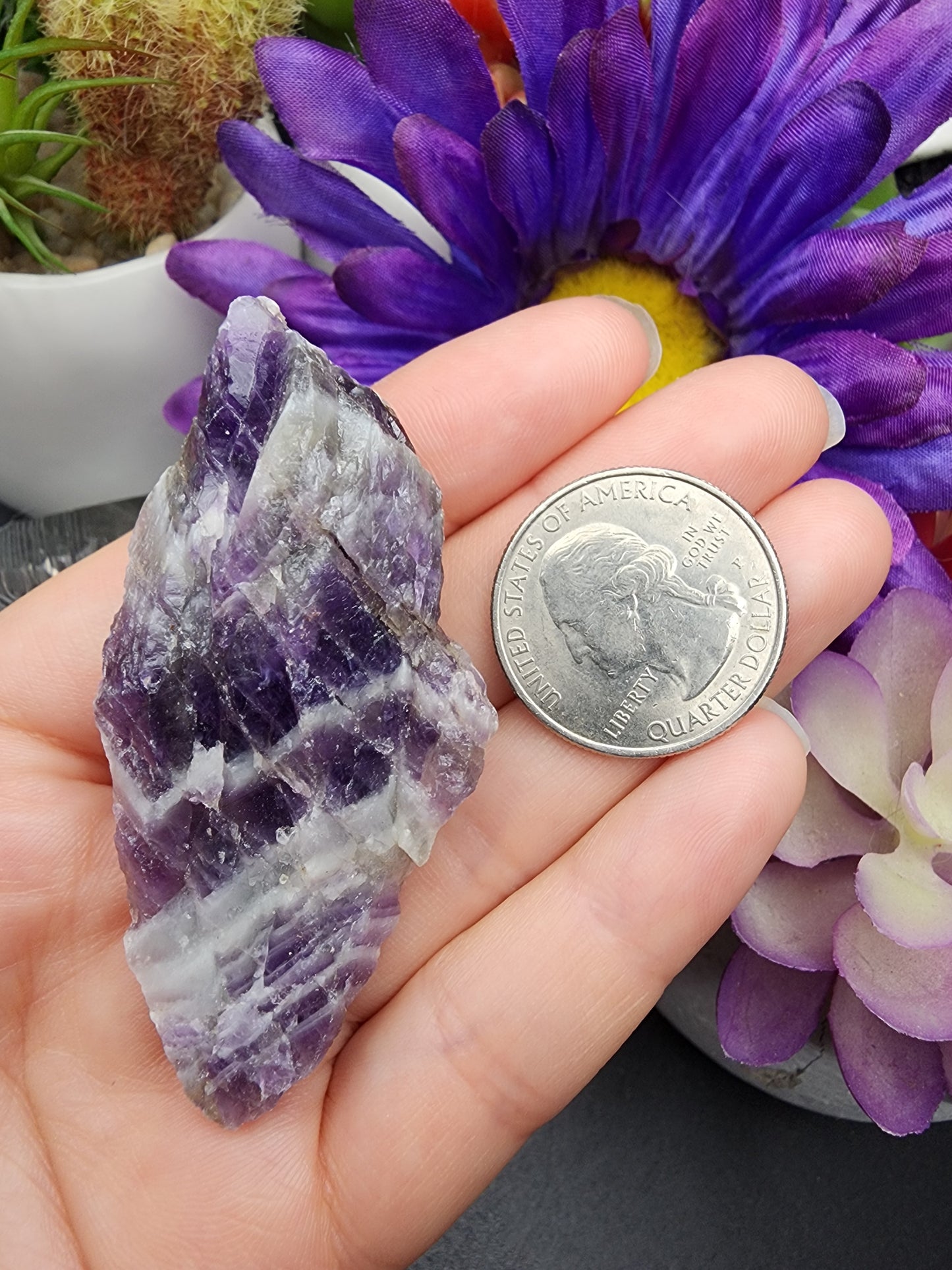 Chevron Amethyst