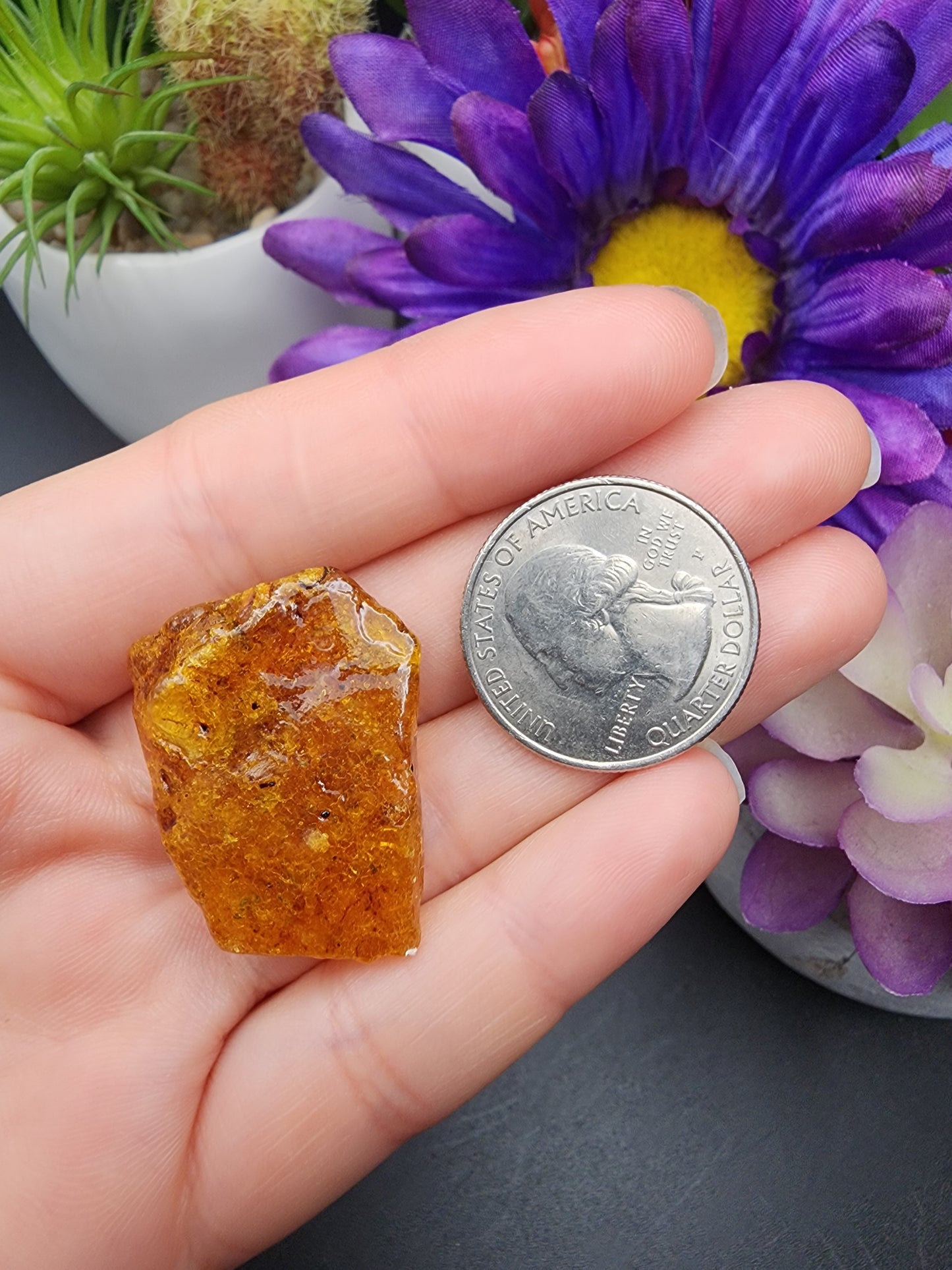 Copal Amber