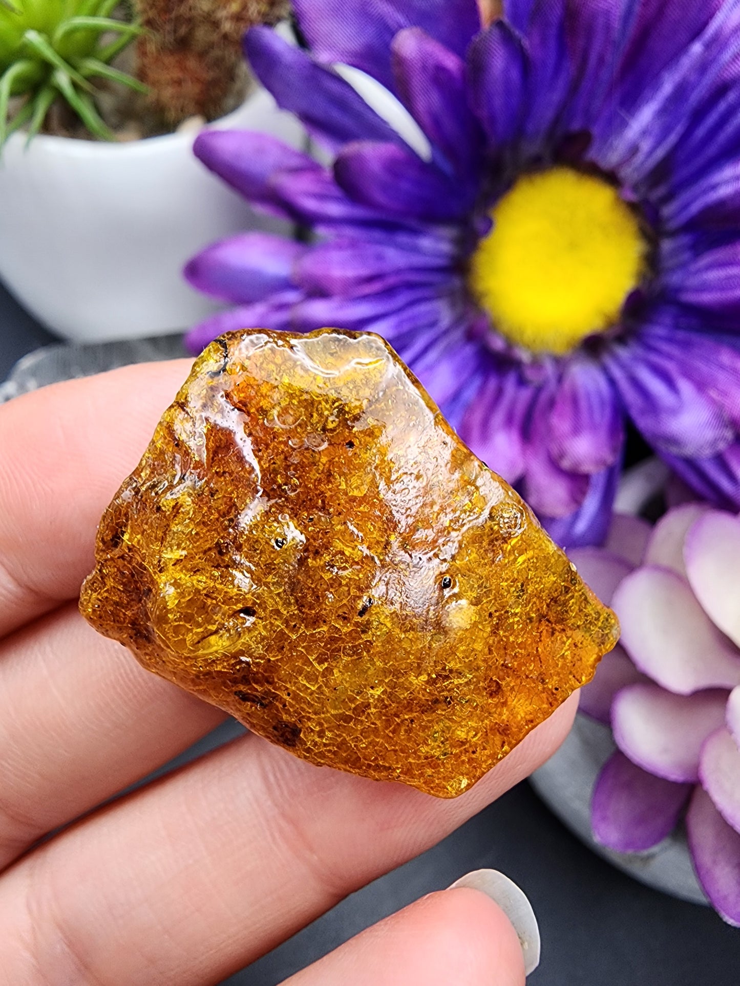 Copal Amber