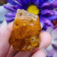 Copal Amber