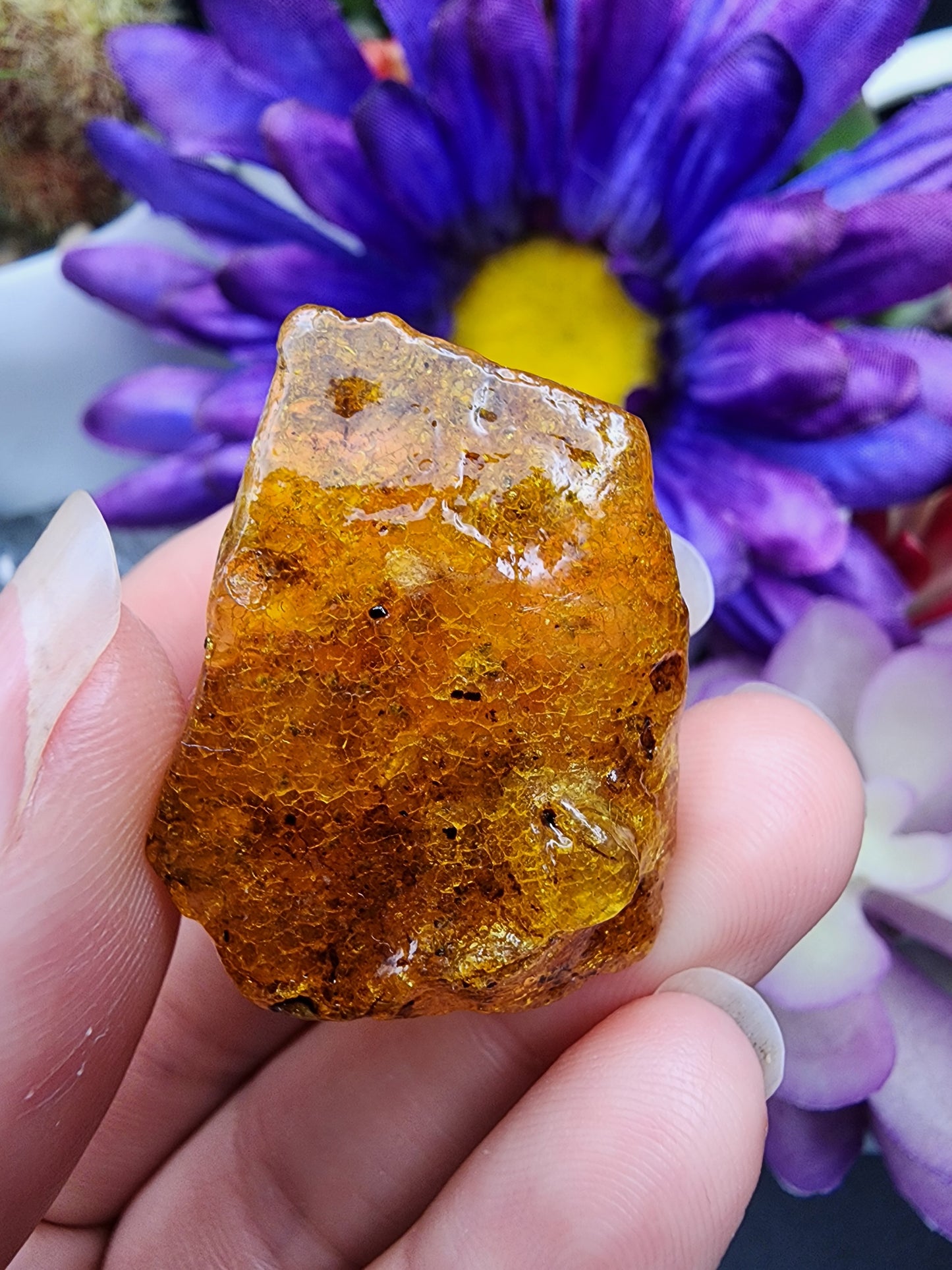 Copal Amber