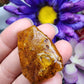 Copal Amber