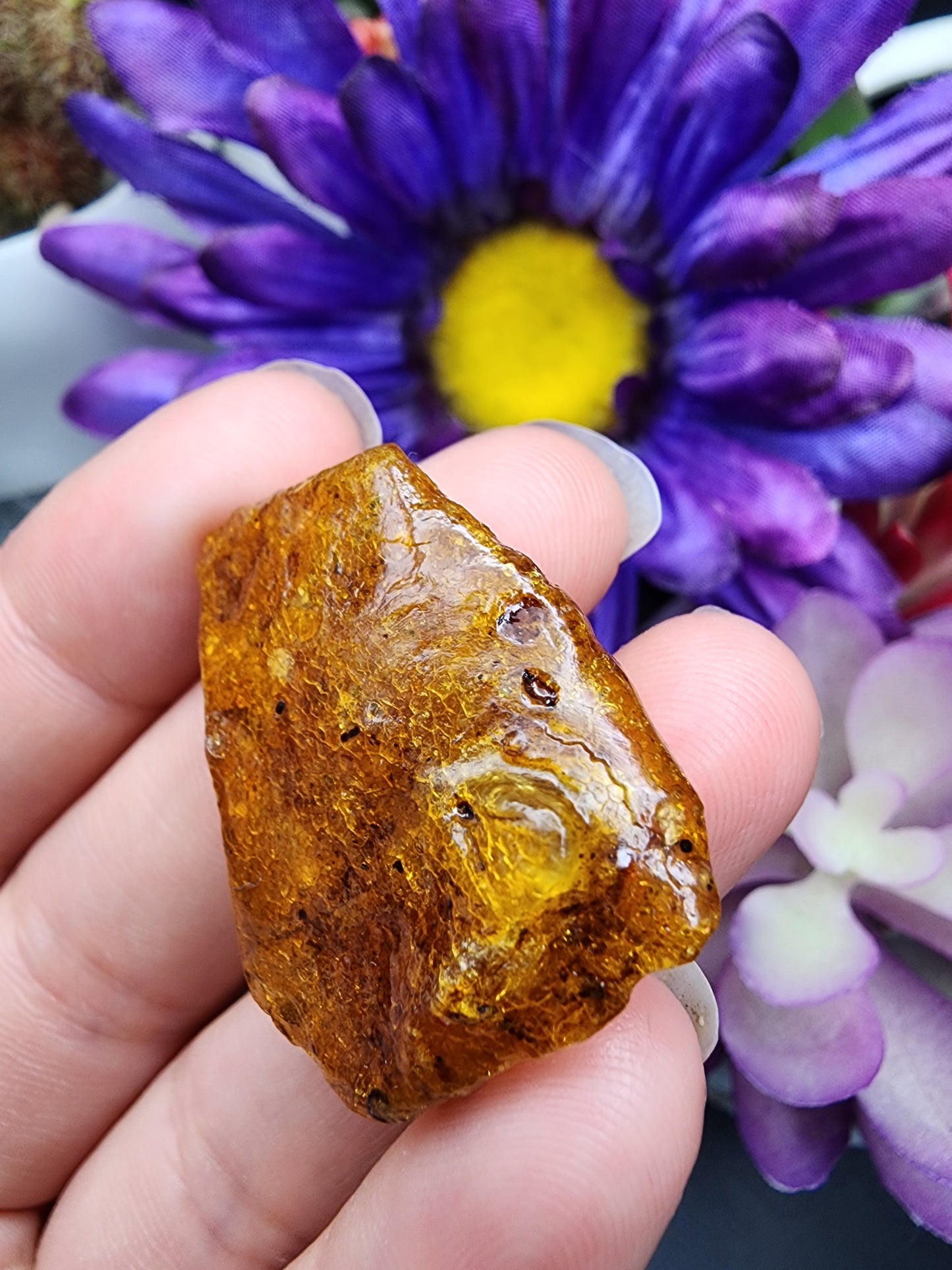 Copal Amber